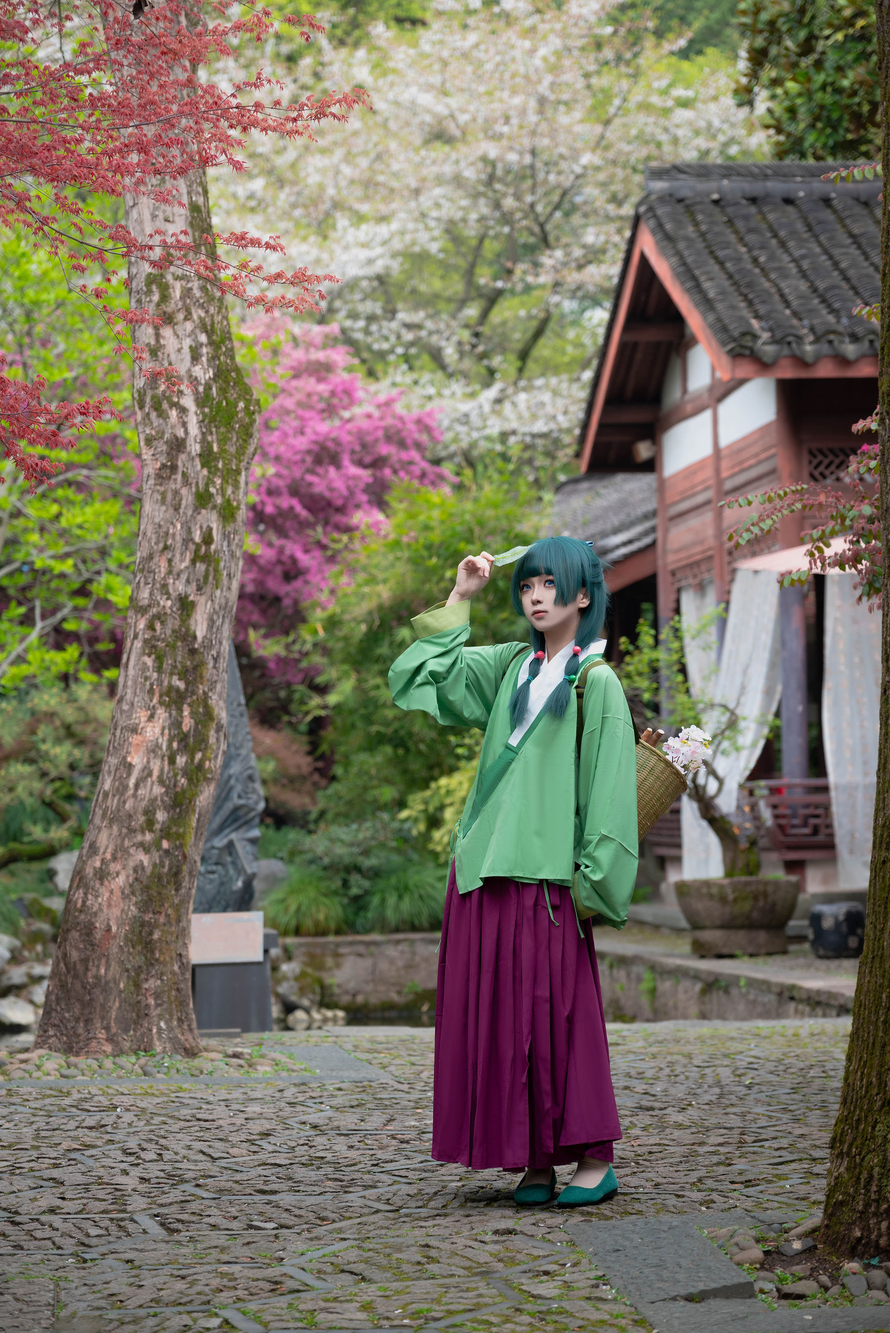 矢量鱼 - Maomao/(52P)