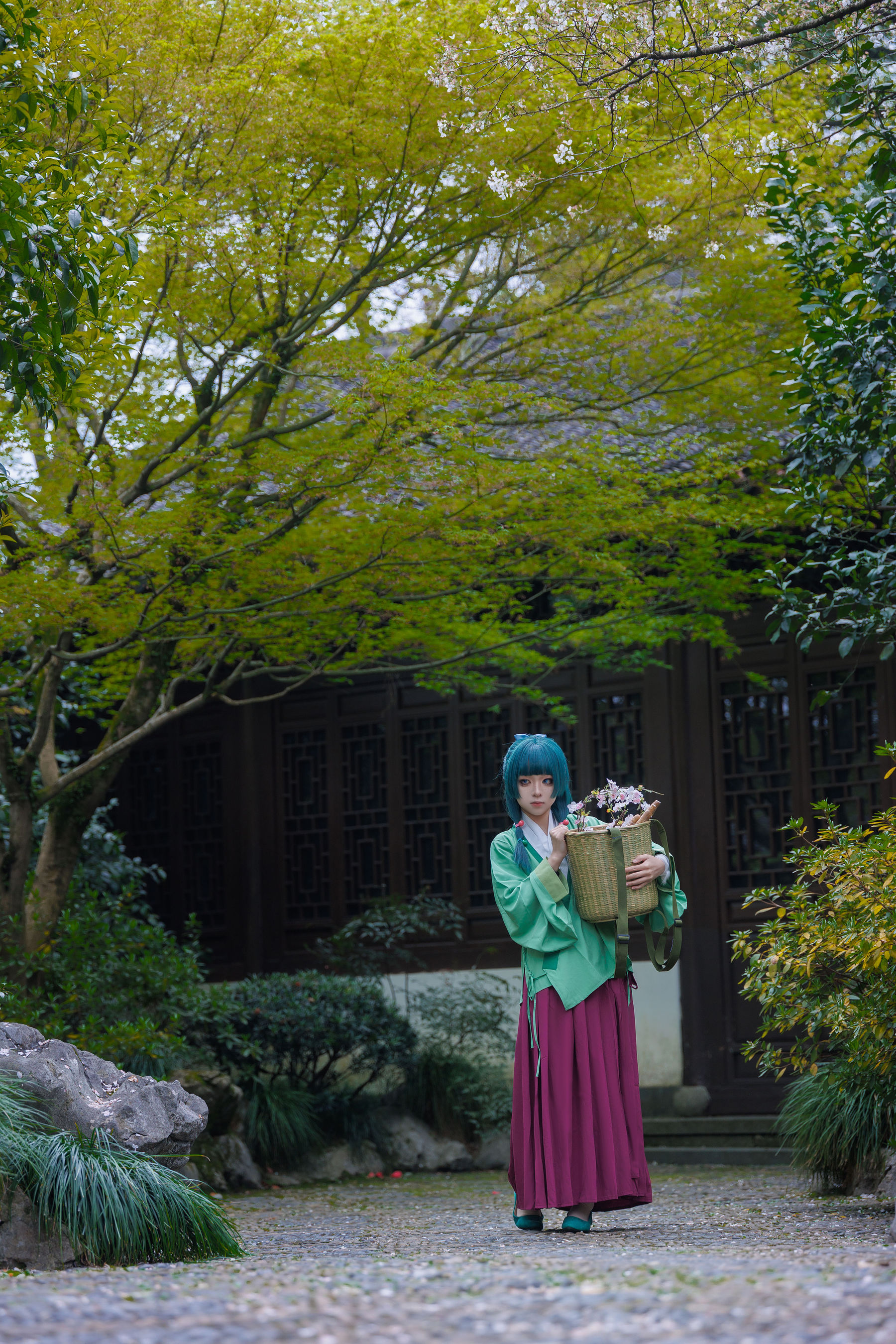 矢量鱼 - Maomao/(52P)