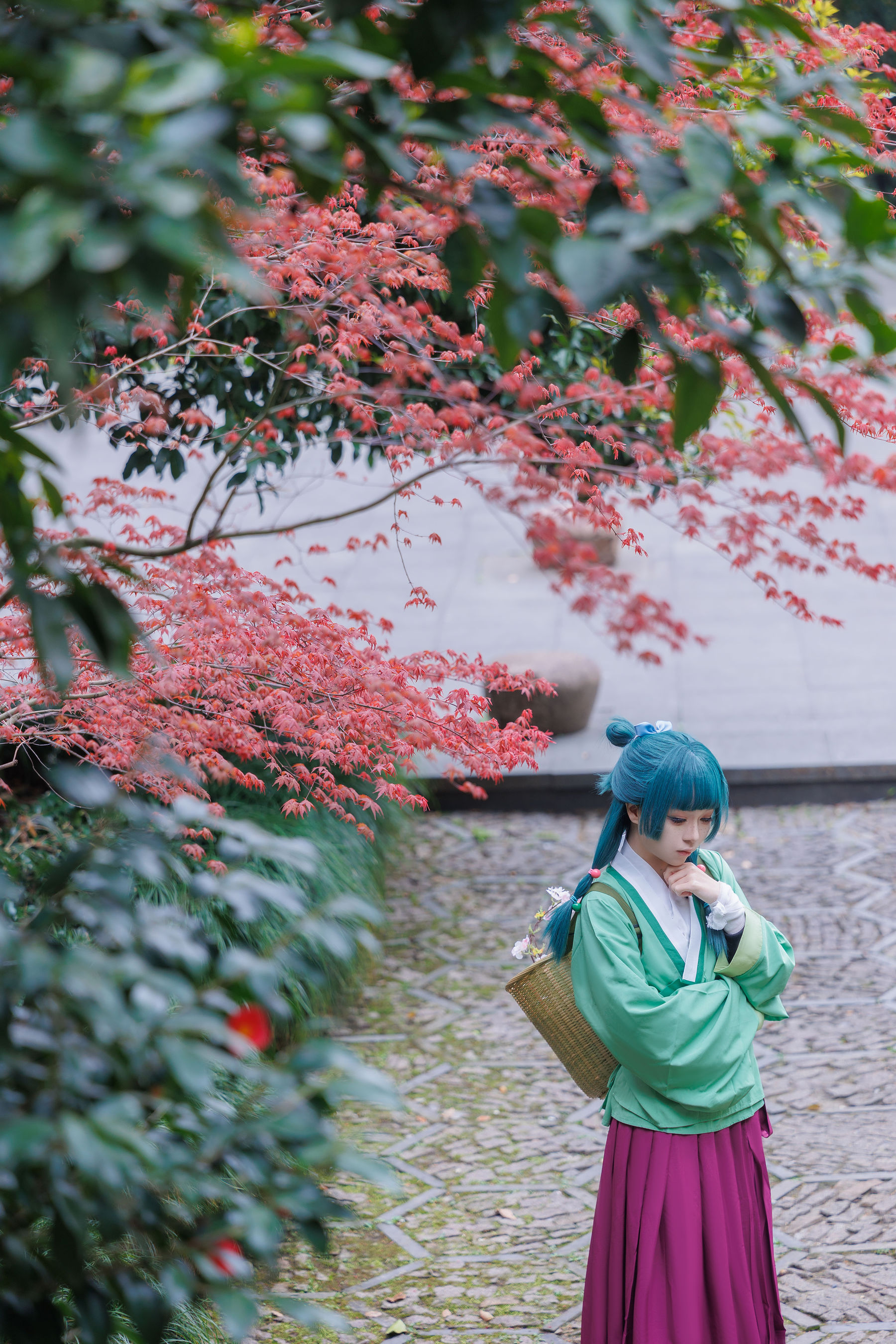 矢量鱼 - Maomao/(52P)