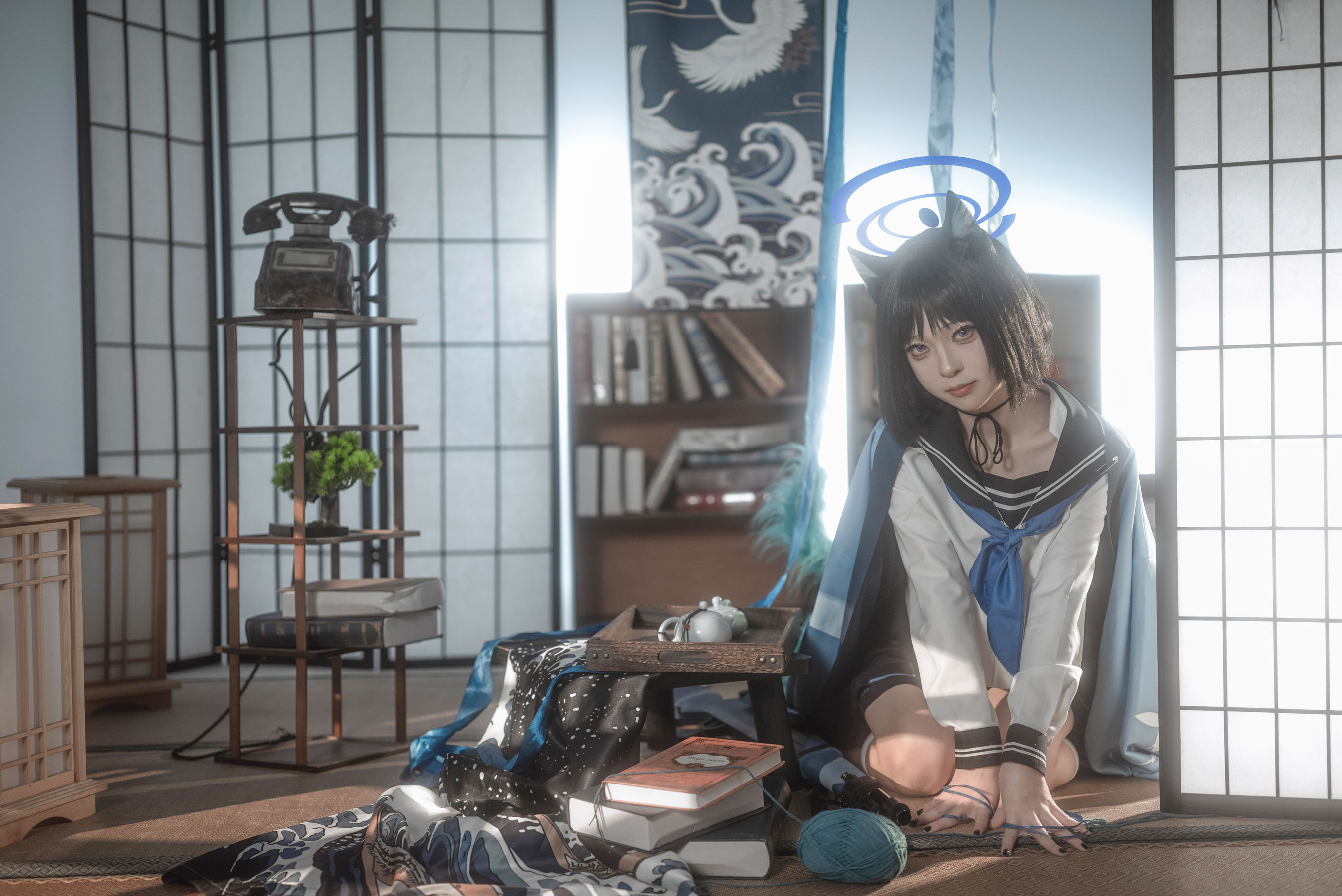 矢量鱼 - 桐生桔梗/(28P)