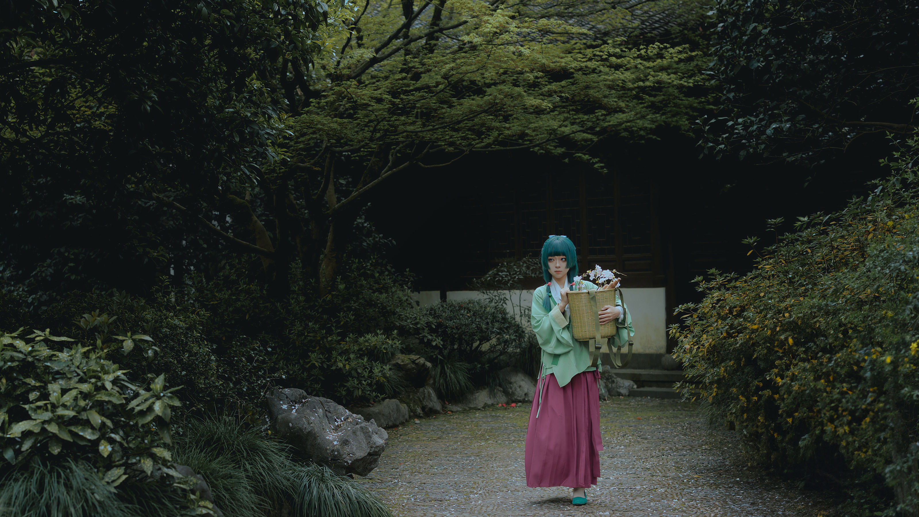 矢量鱼 - Maomao/(52P)