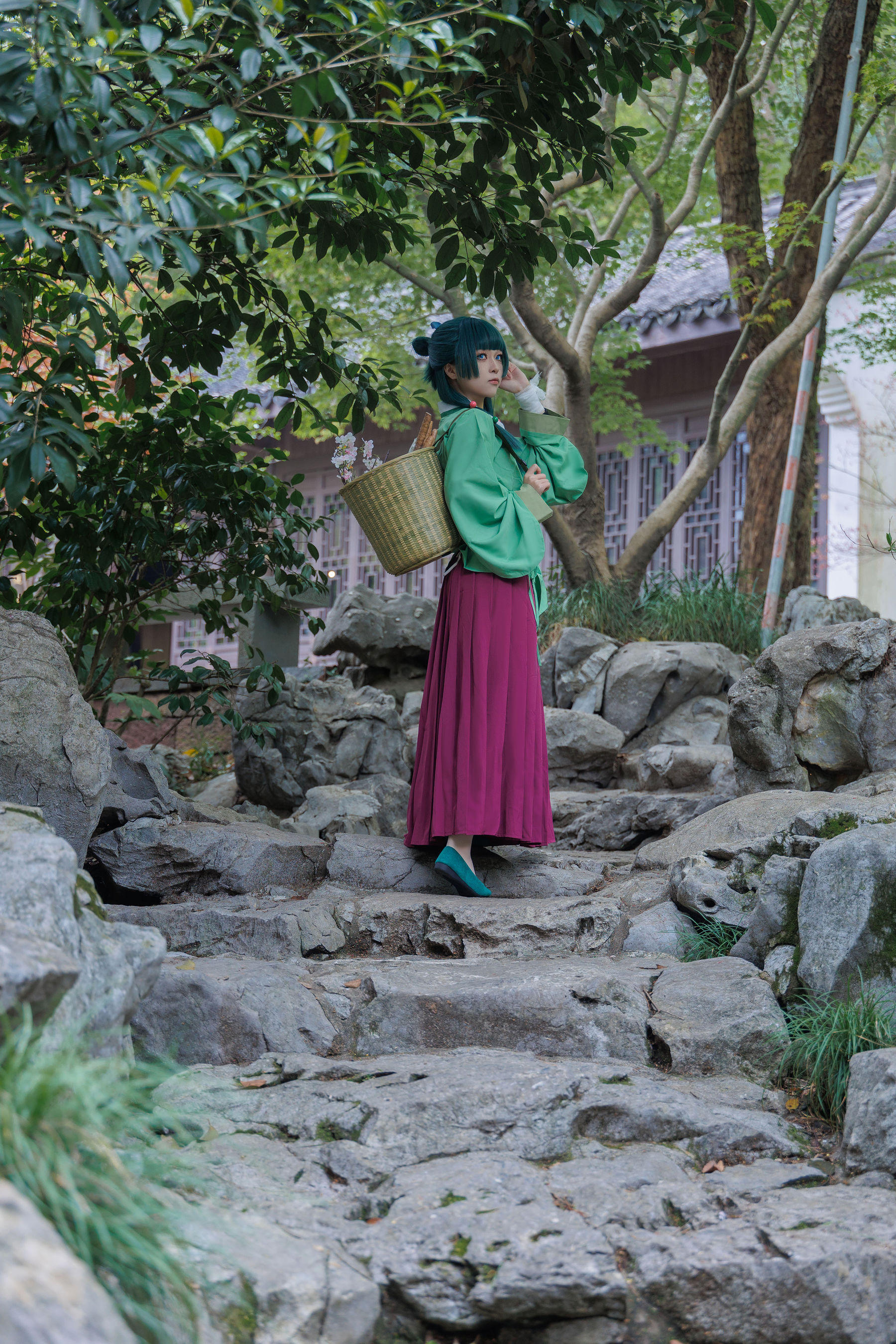 矢量鱼 - Maomao/(52P)