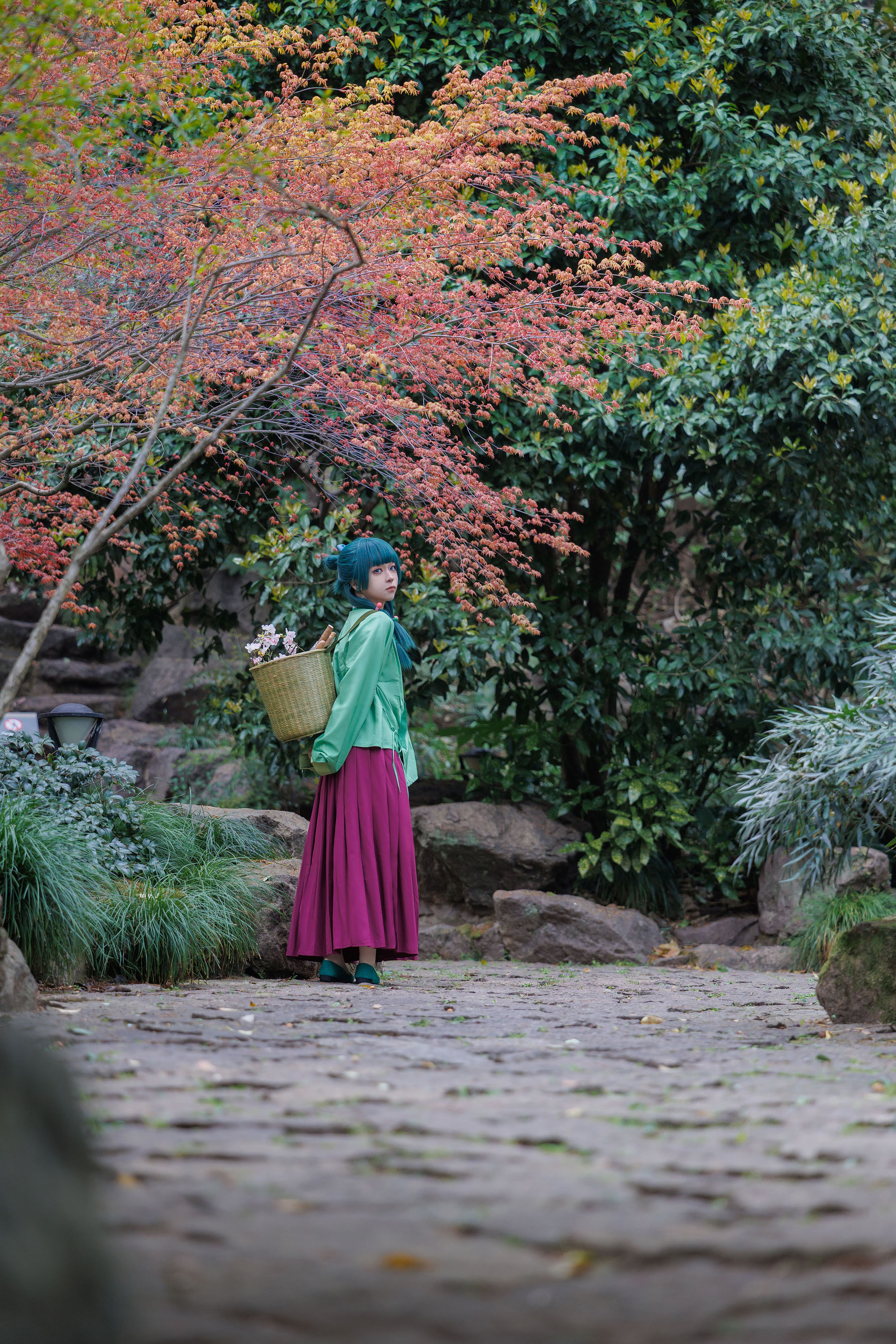 矢量鱼 - Maomao/(52P)