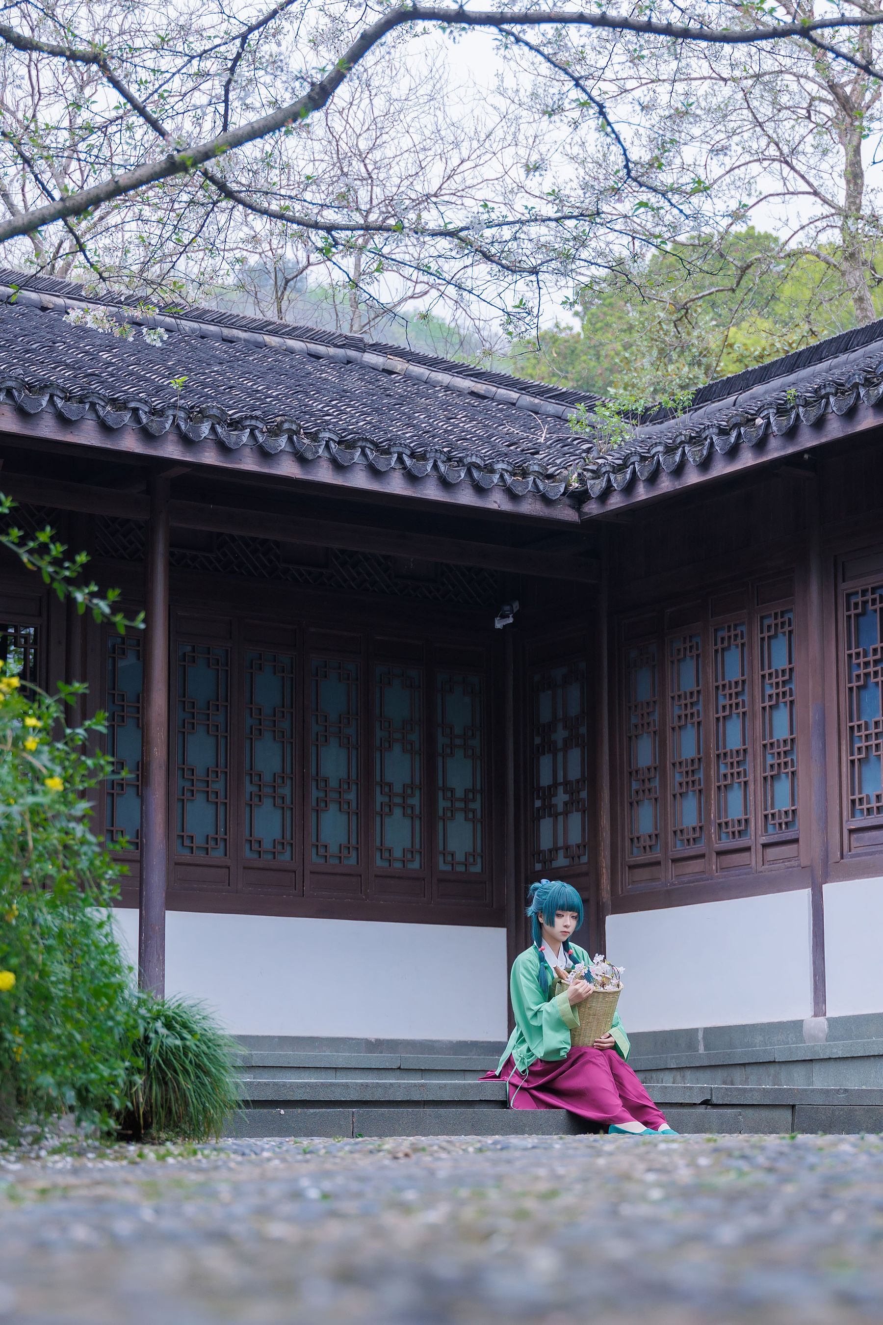 矢量鱼 - Maomao/(52P)