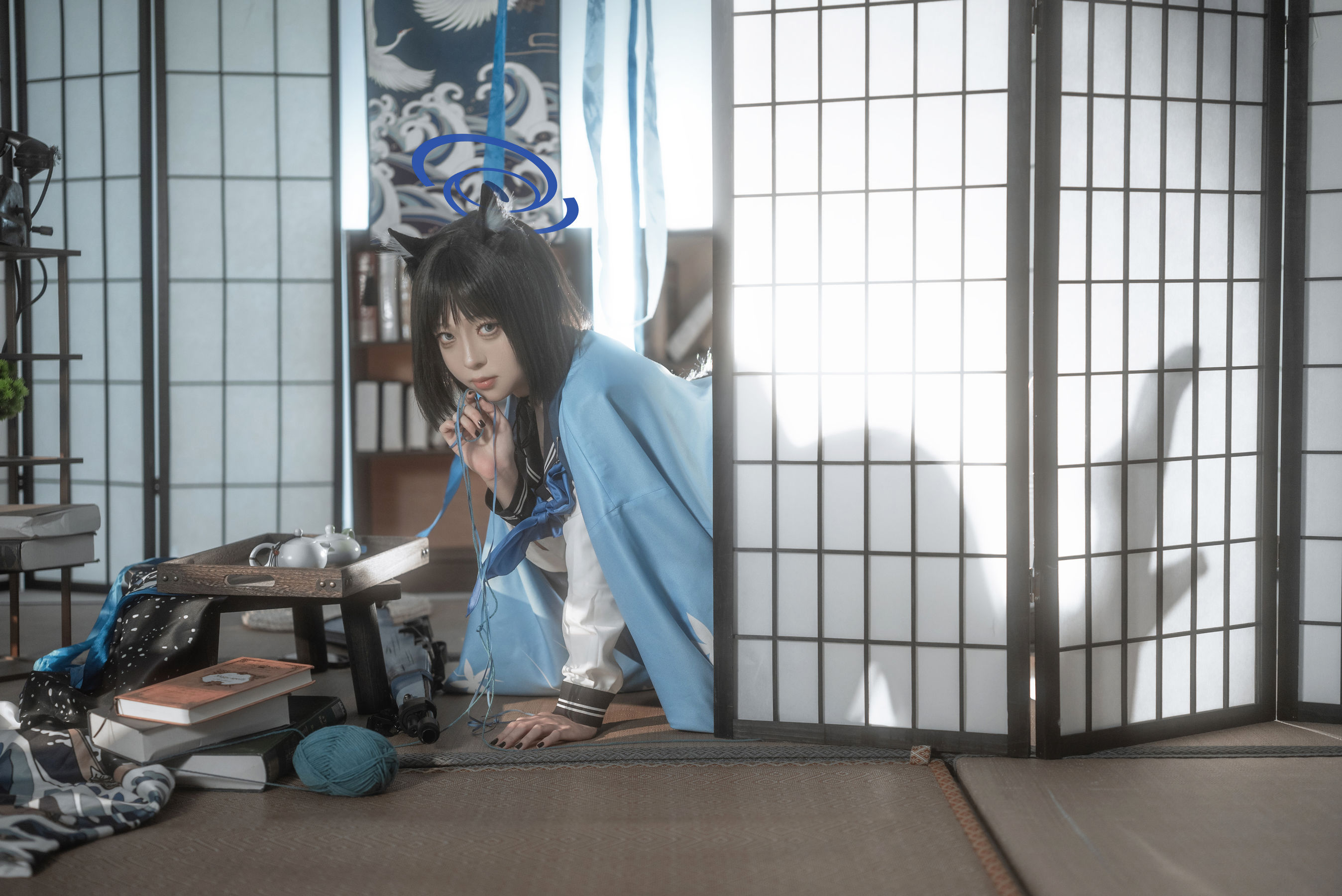 矢量鱼 - 桐生桔梗/(28P)