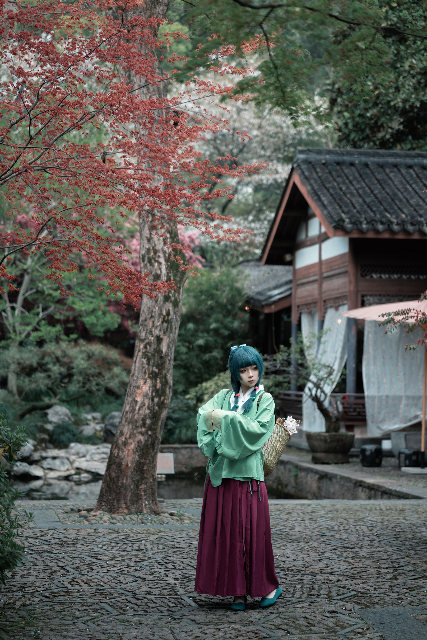 矢量鱼 - Maomao/(52P)