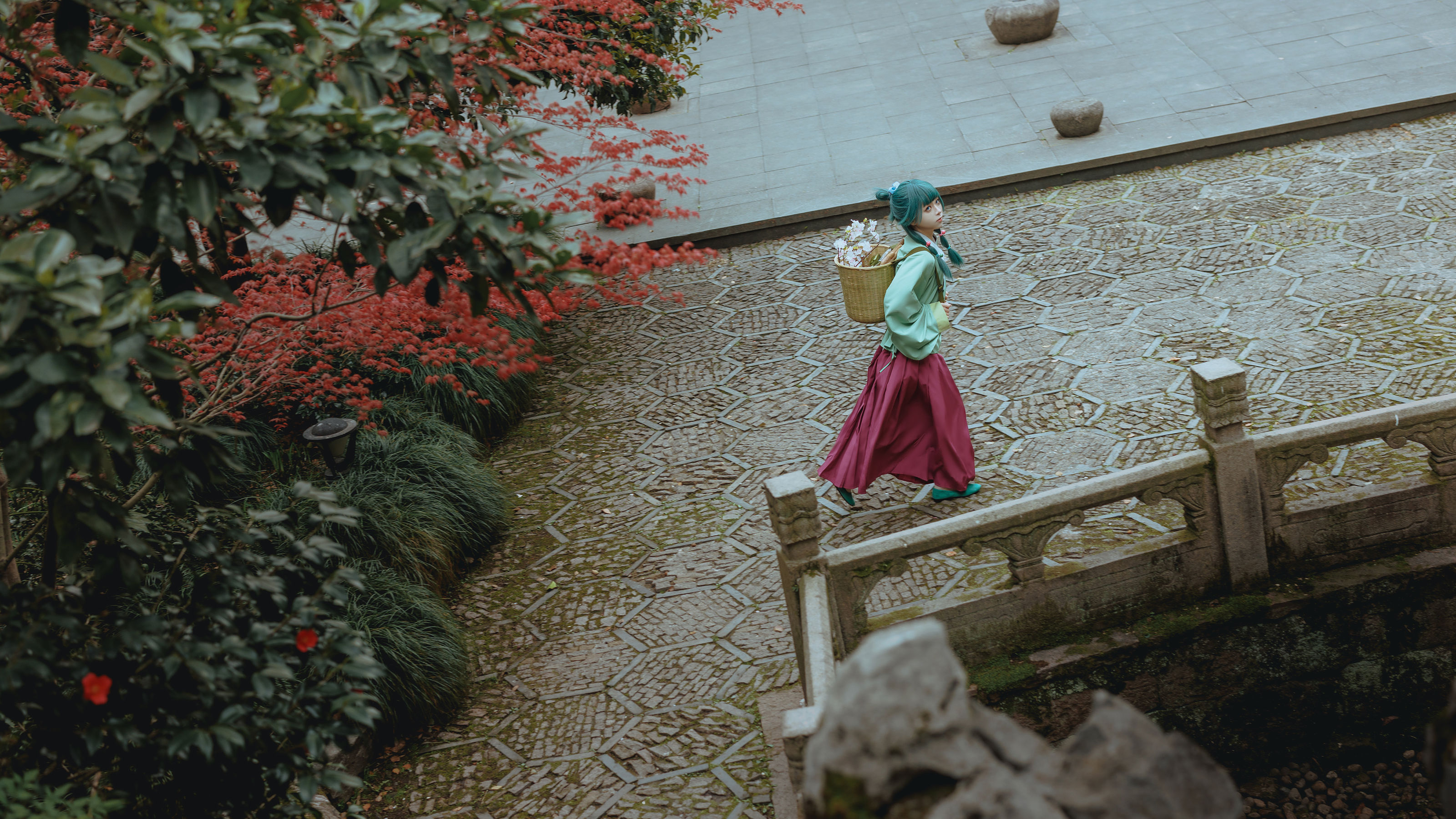 矢量鱼 - Maomao/(52P)