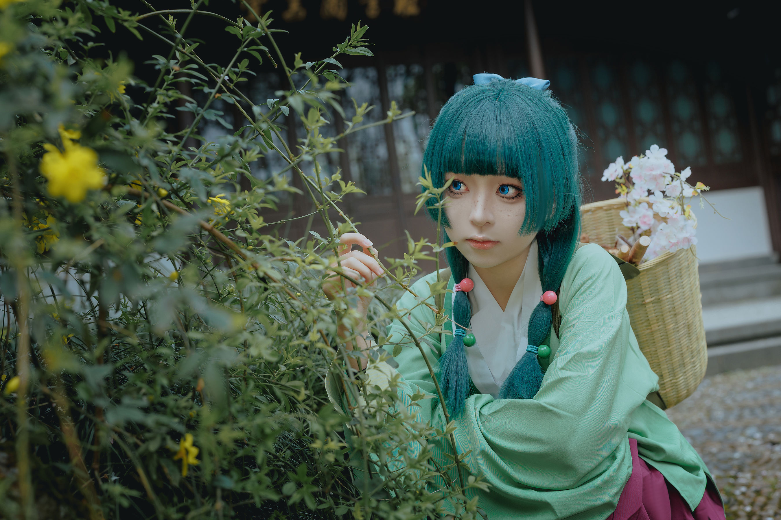 矢量鱼 - Maomao/(52P)