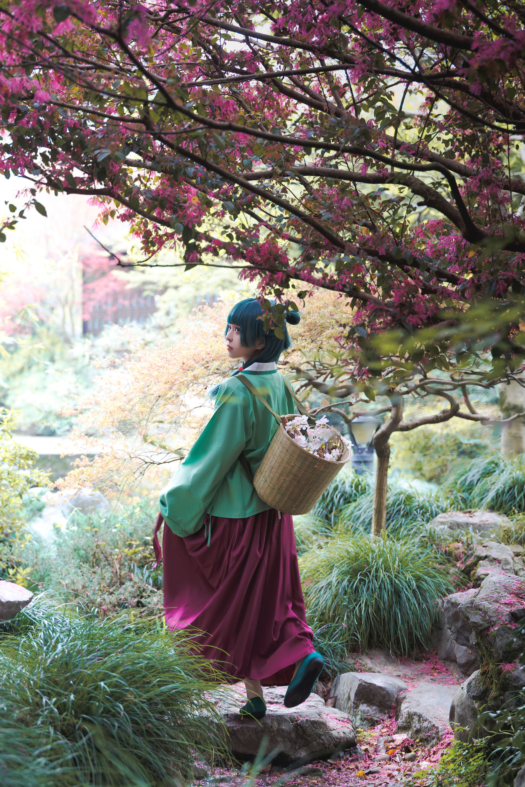 矢量鱼 - Maomao/(52P)