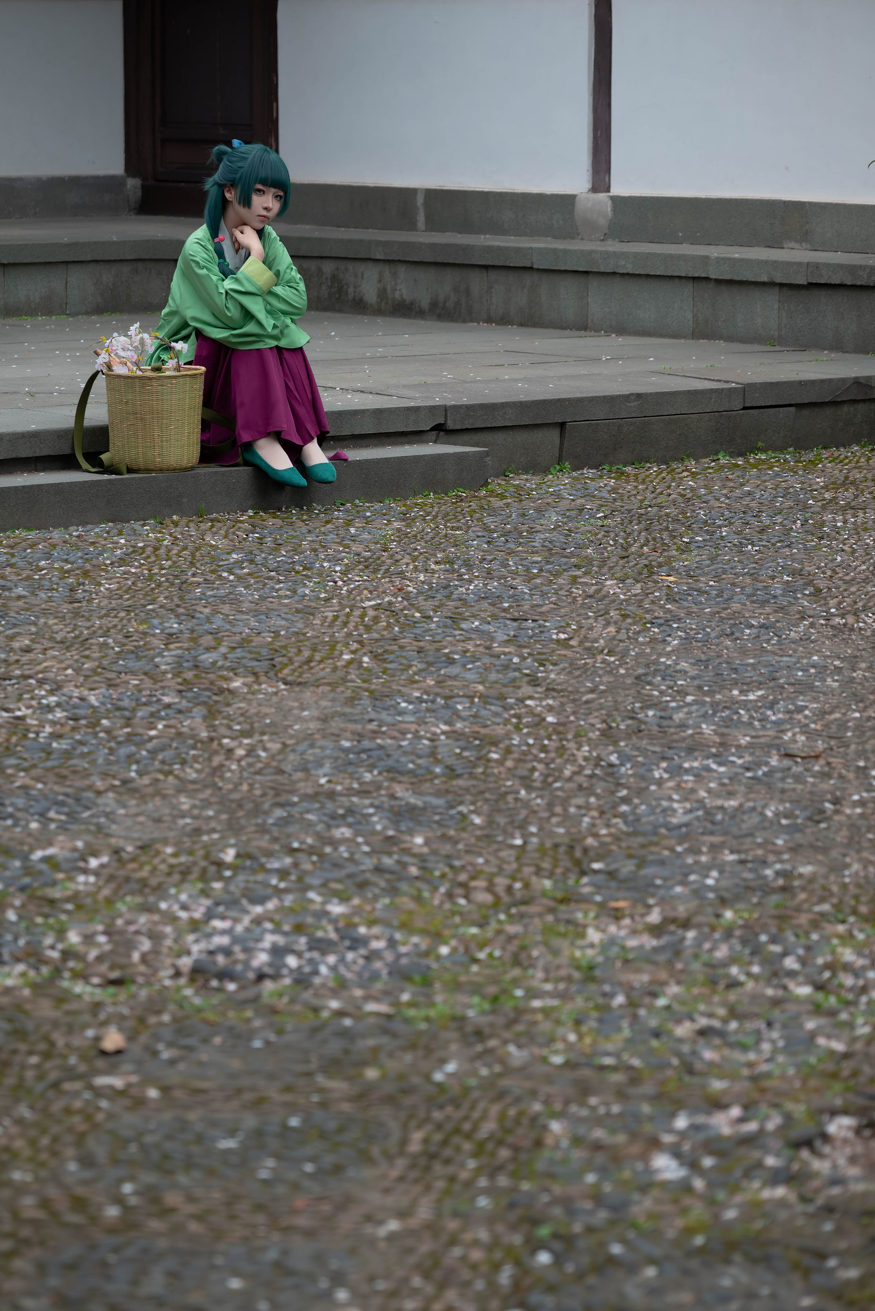 矢量鱼 - Maomao/(52P)