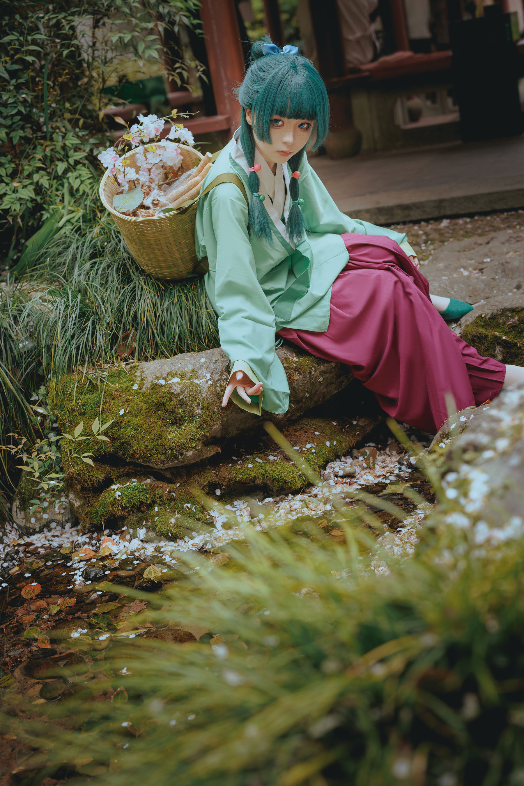 矢量鱼 - Maomao/(52P)