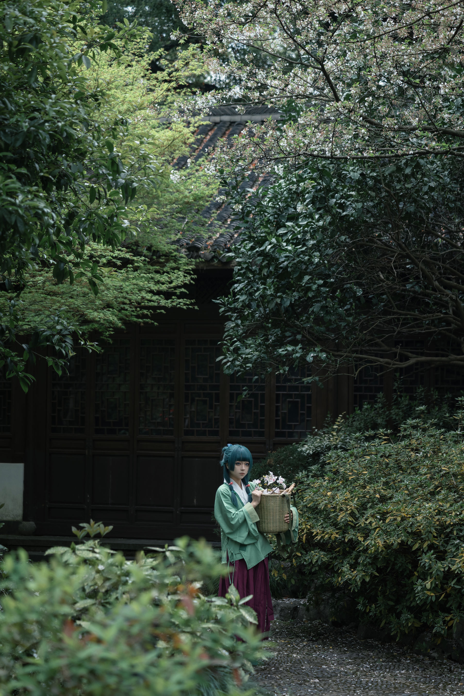 矢量鱼 - Maomao/(52P)