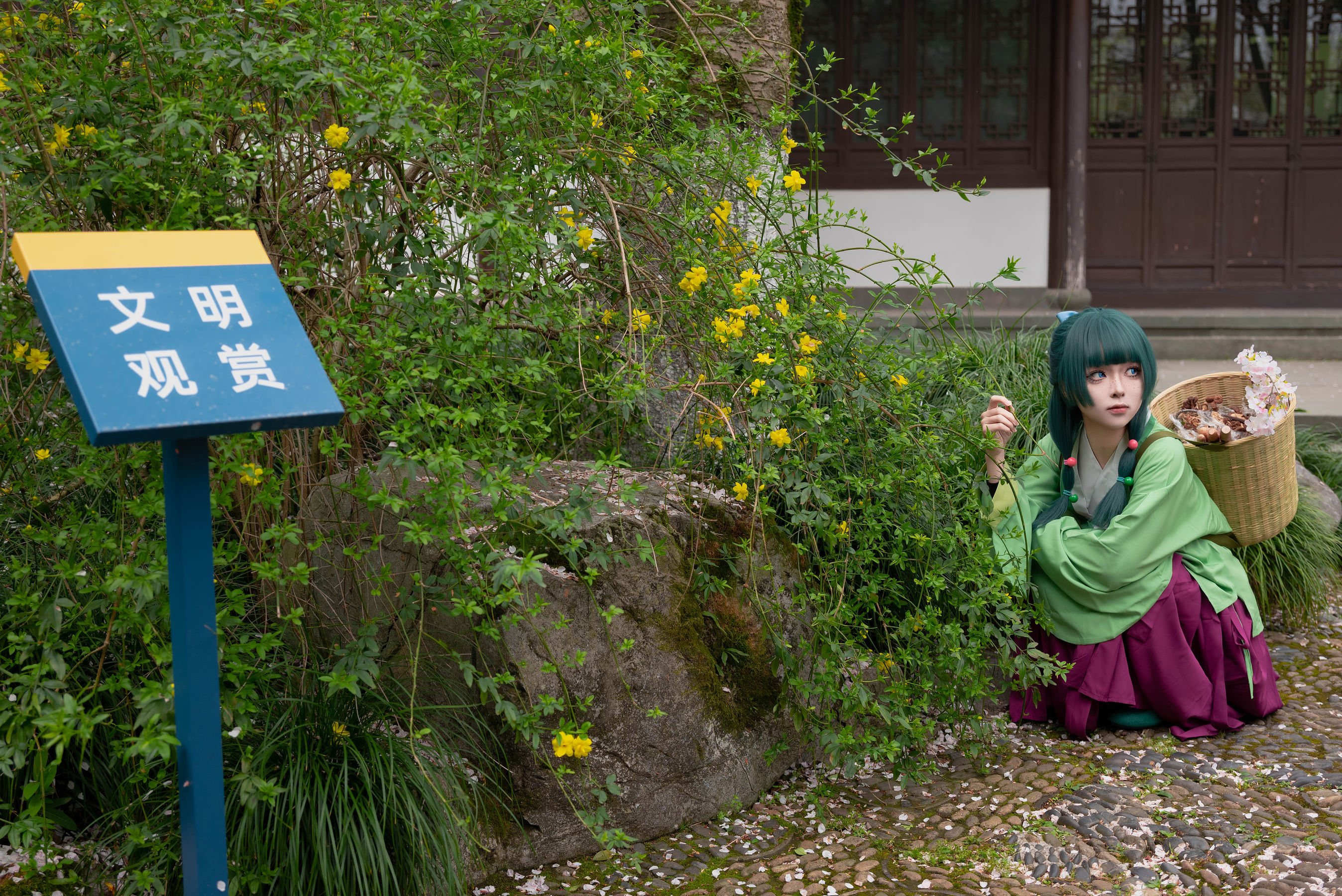 矢量鱼 - Maomao/(52P)