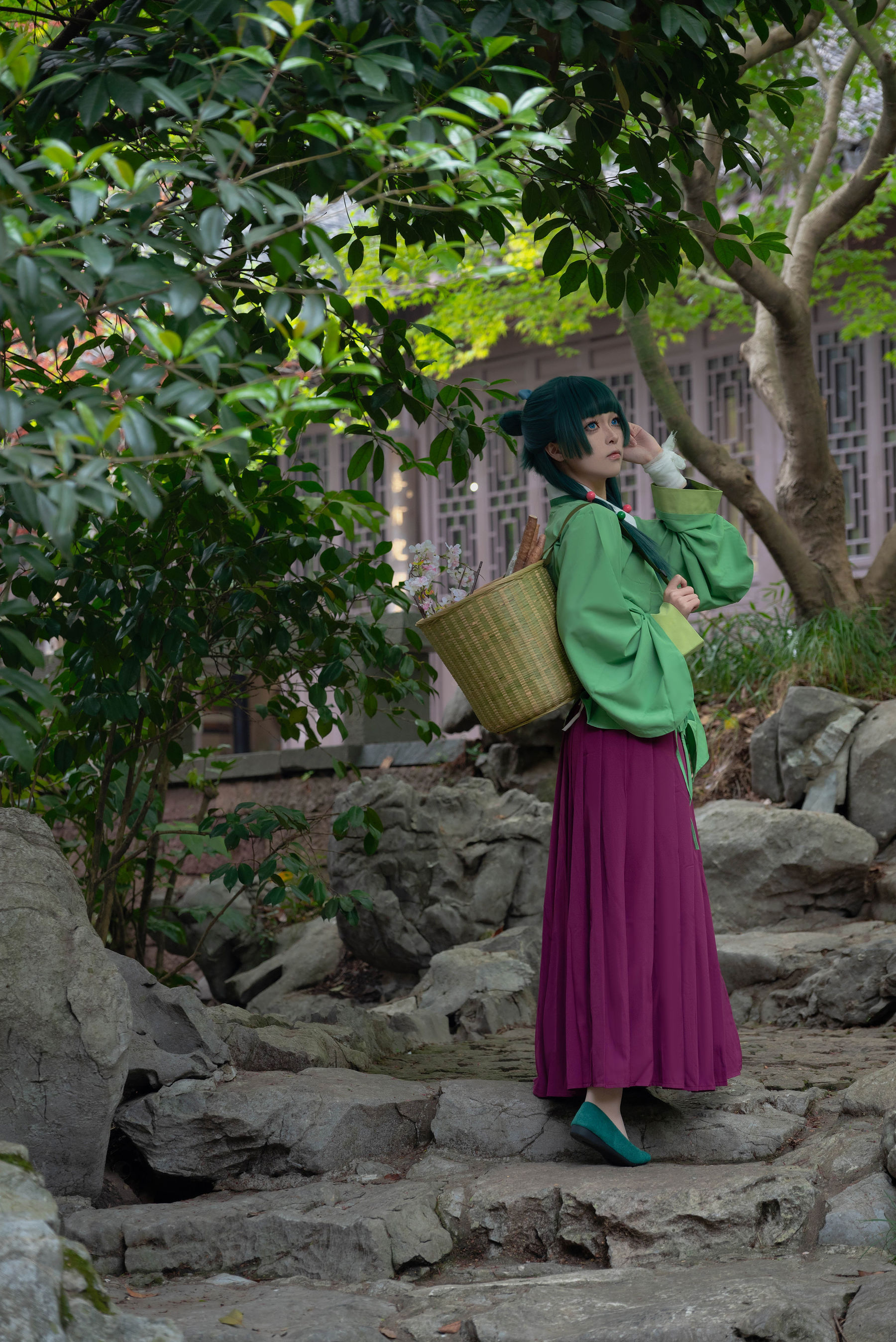 矢量鱼 - Maomao/(52P)