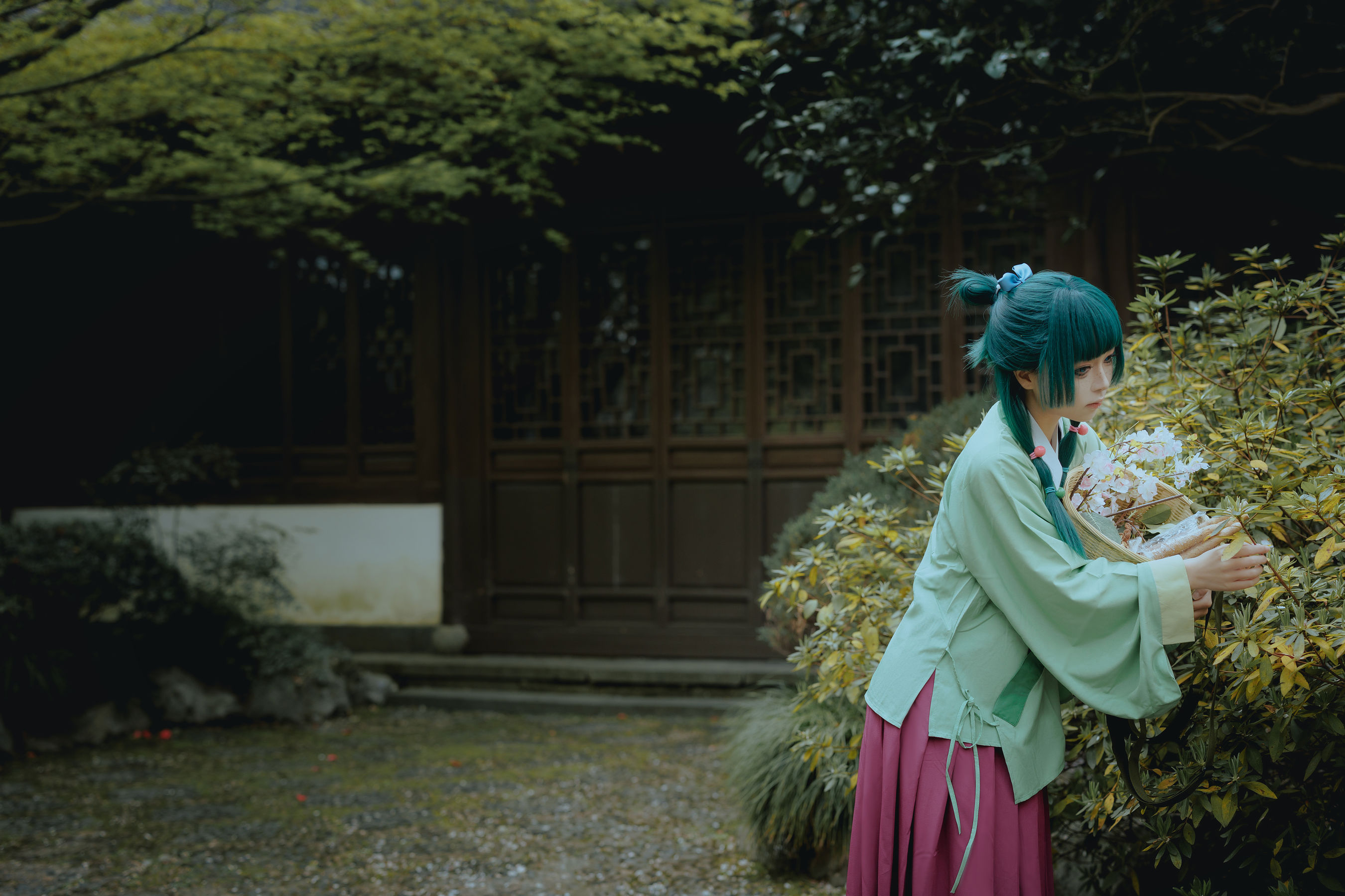 矢量鱼 - Maomao/(52P)