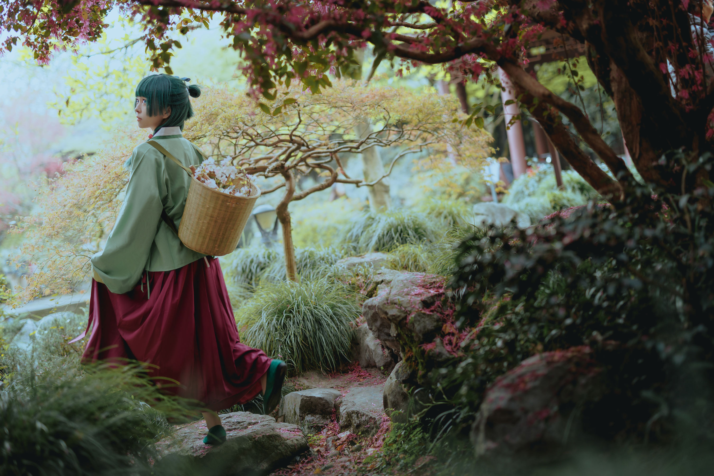 矢量鱼 - Maomao/(52P)