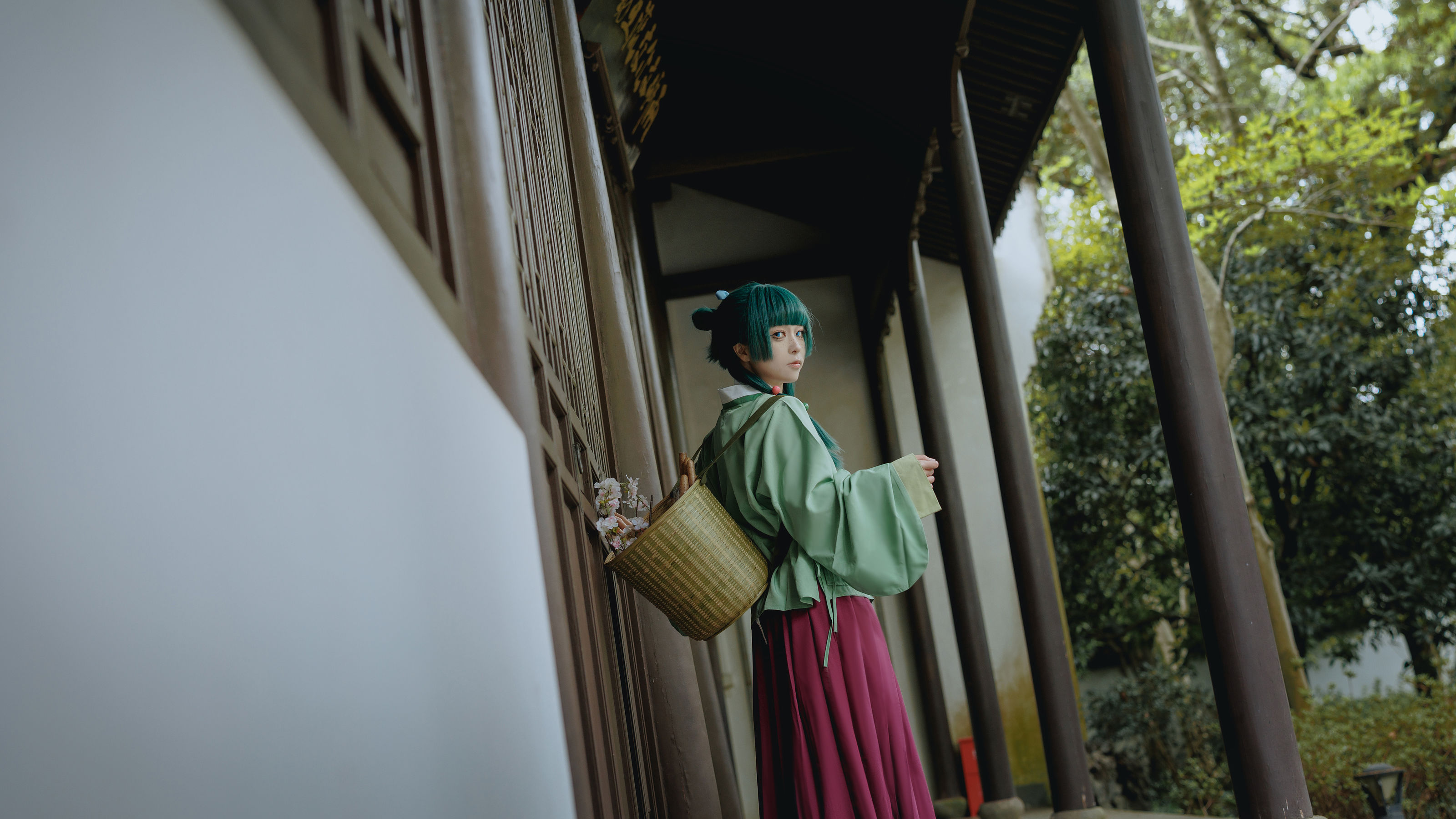 矢量鱼 - Maomao/(52P)