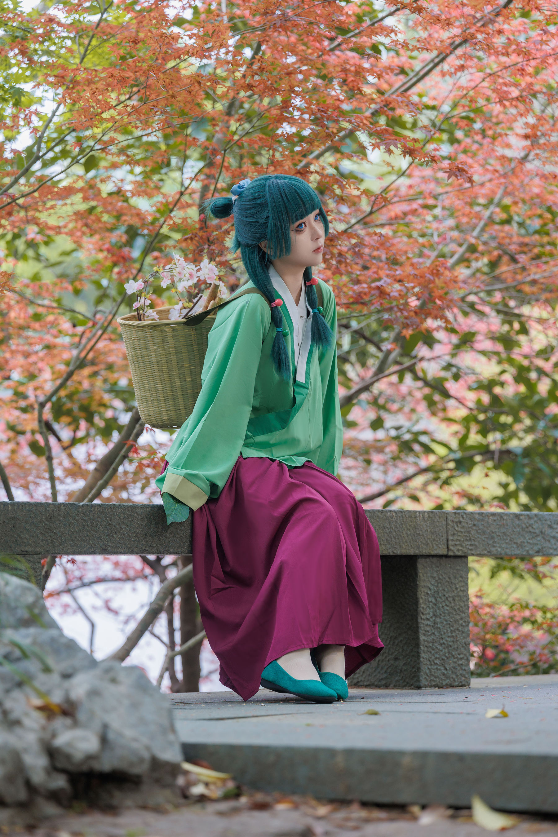 矢量鱼 - Maomao/(52P)