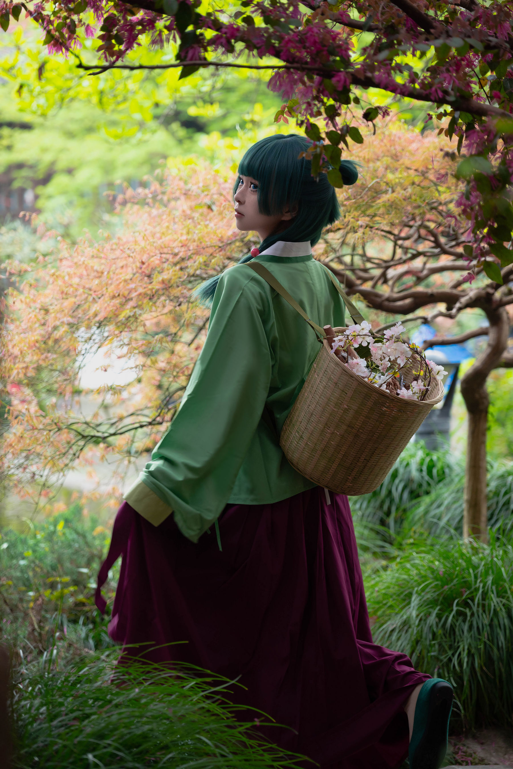 矢量鱼 - Maomao/(52P)