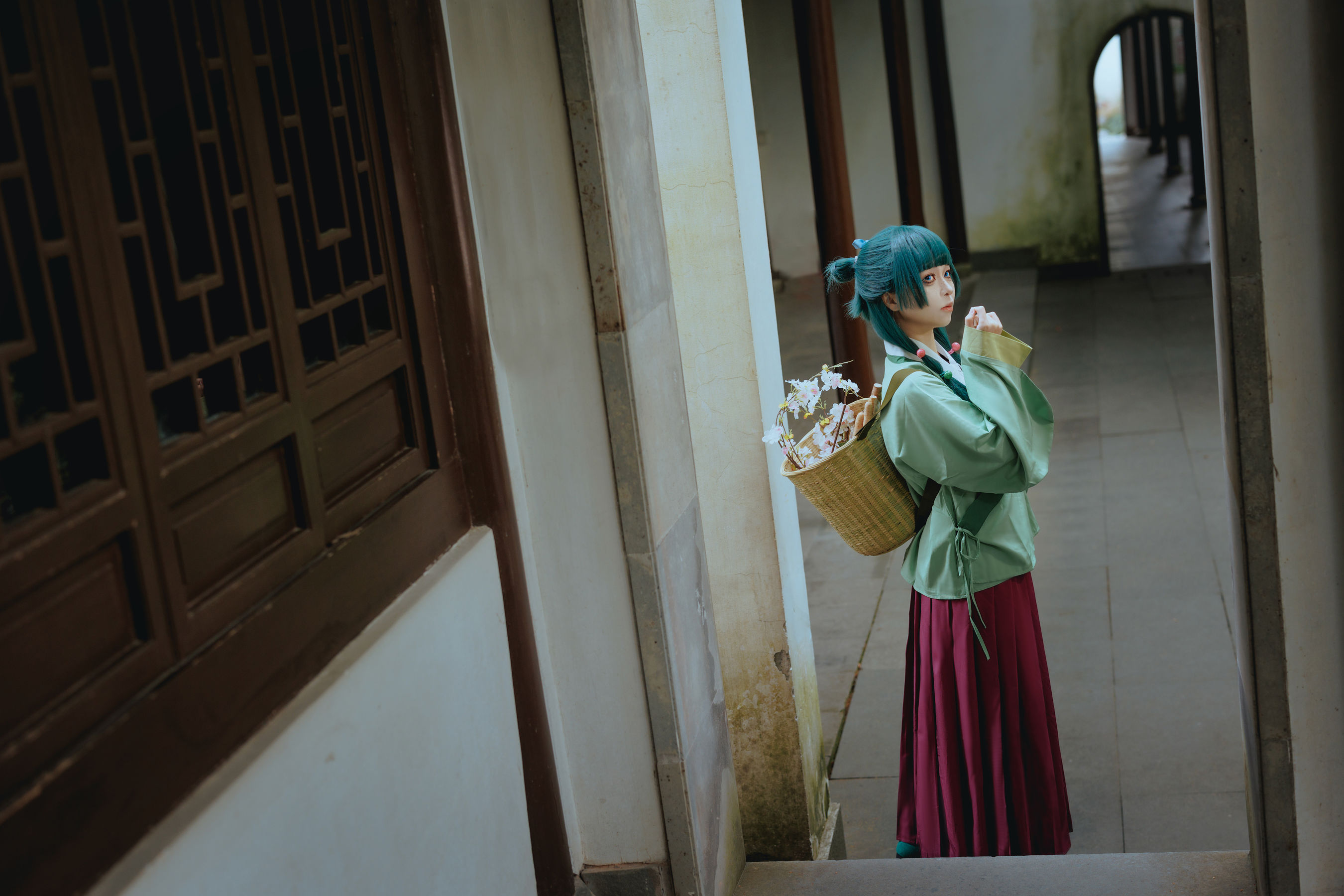 矢量鱼 - Maomao/(52P)