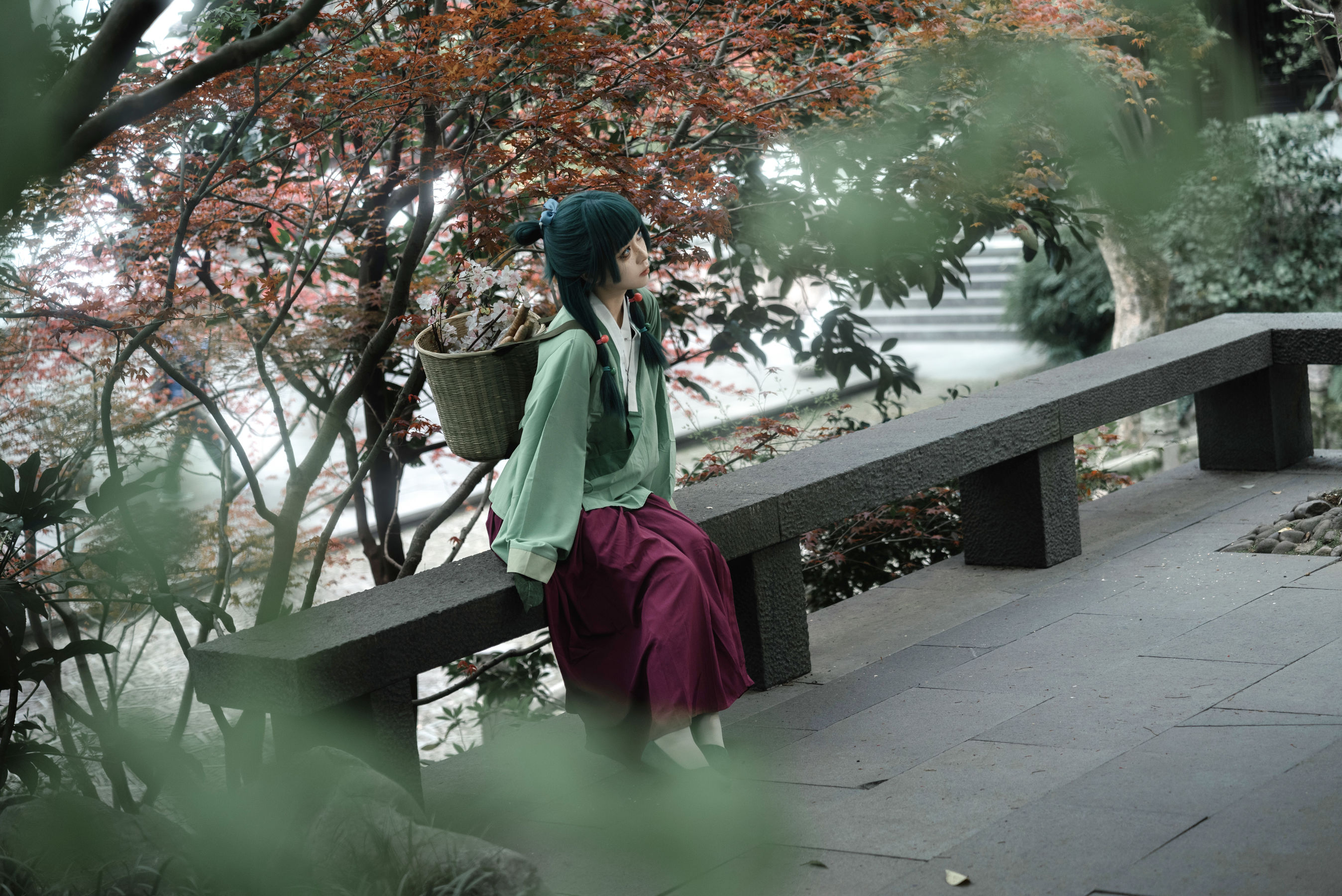 矢量鱼 - Maomao/(52P)