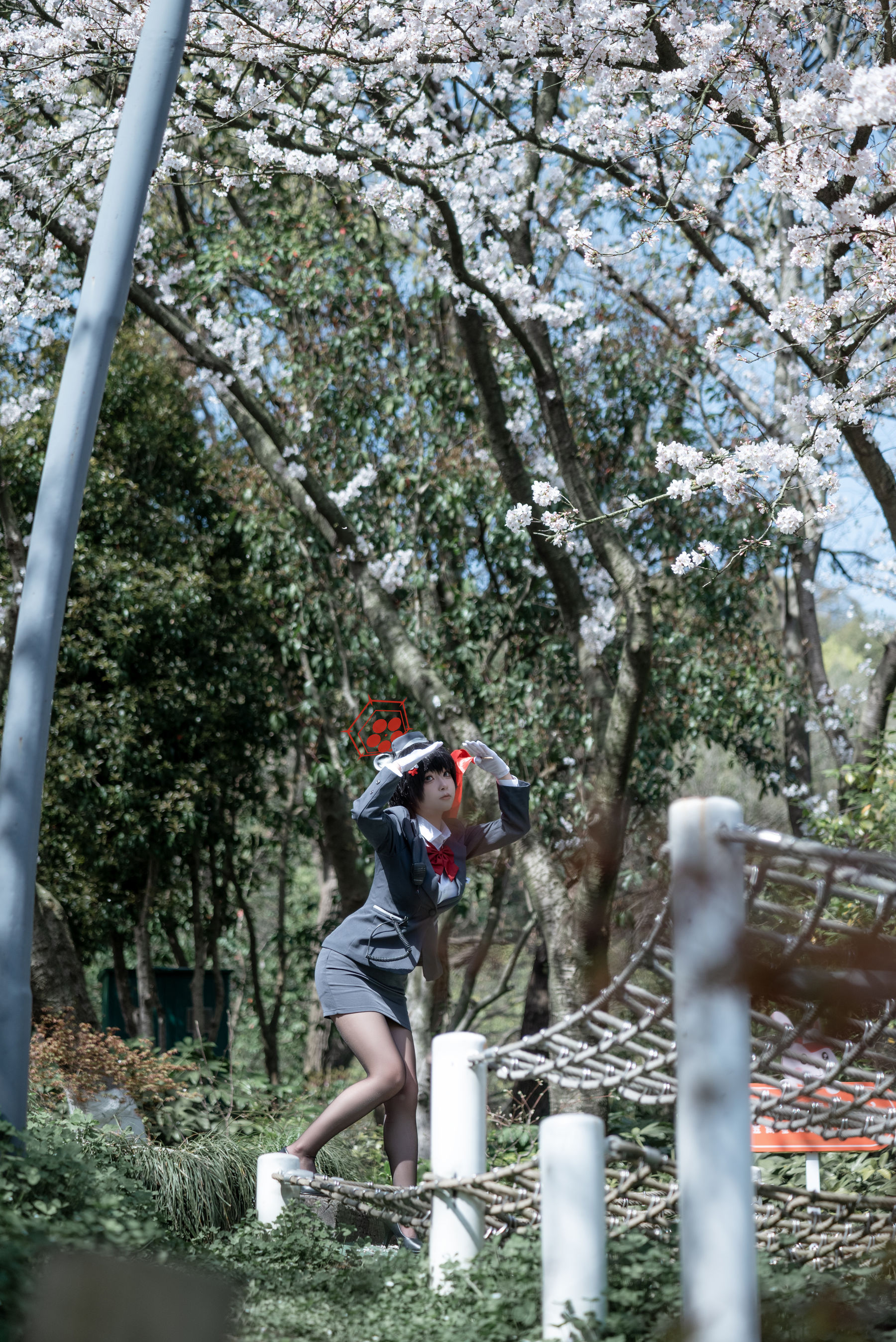 矢量鱼 - 椿导游/(32P)