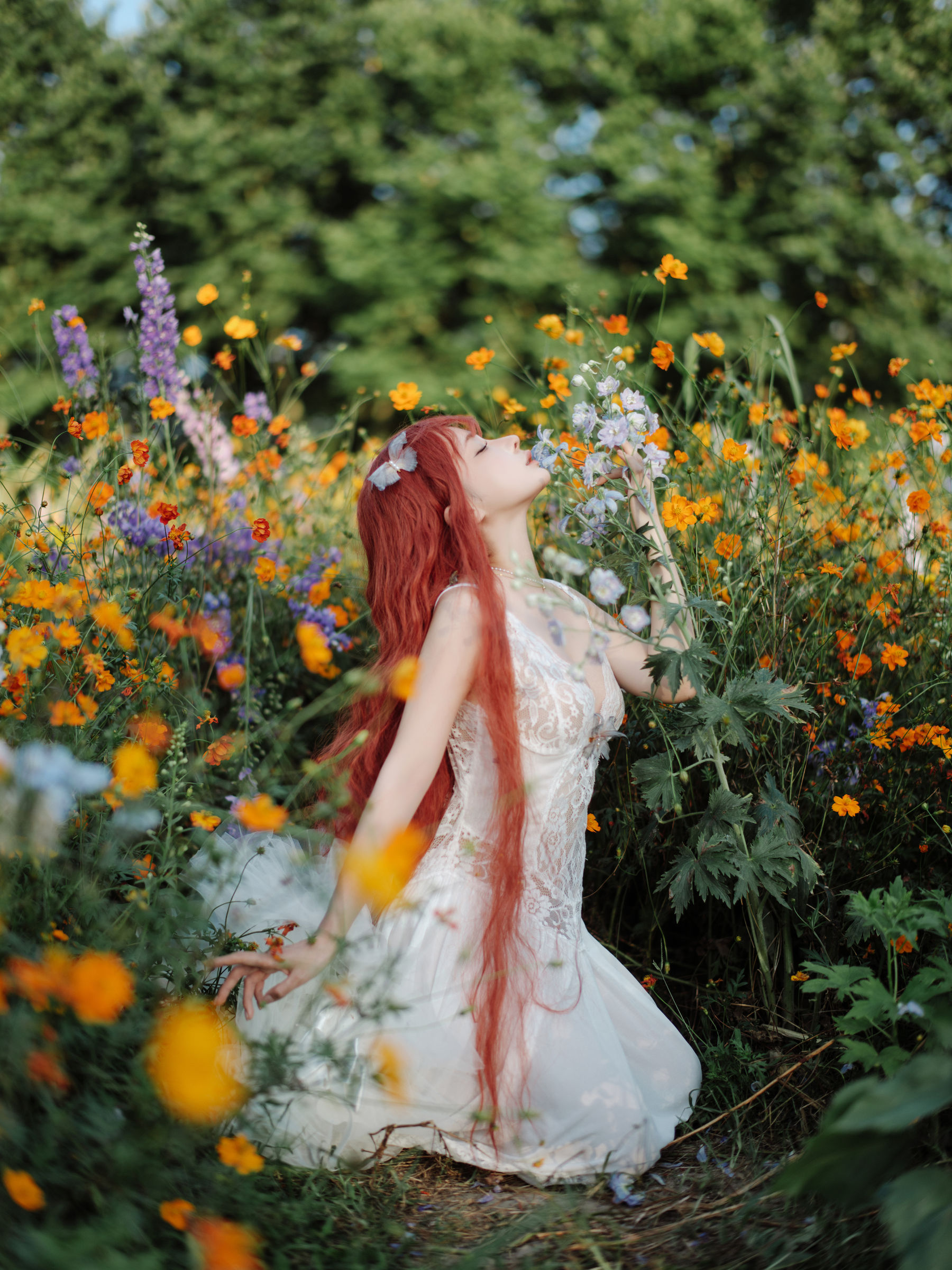 动漫博主 蠢沫沫 - 花丛婚纱/(67P)