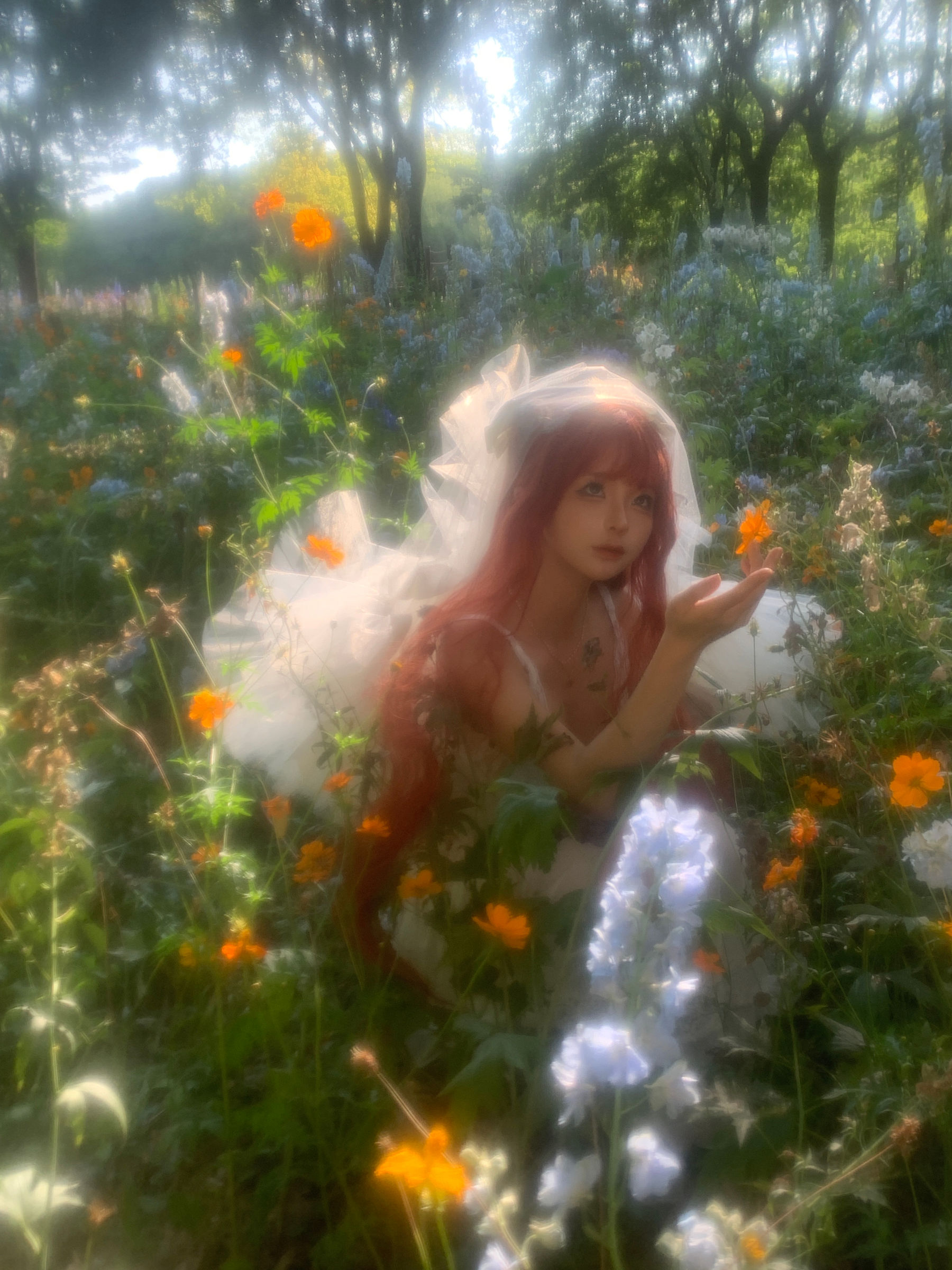 动漫博主 蠢沫沫 - 花丛婚纱/(67P)