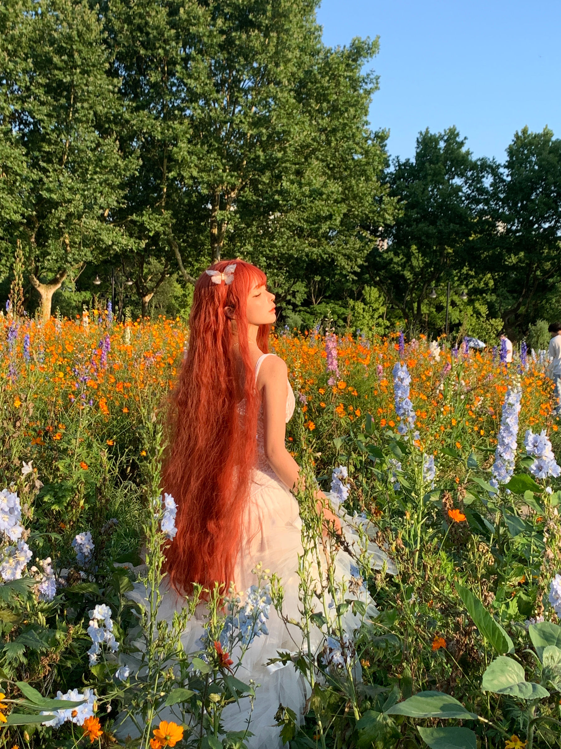 动漫博主 蠢沫沫 - 花丛婚纱/(67P)