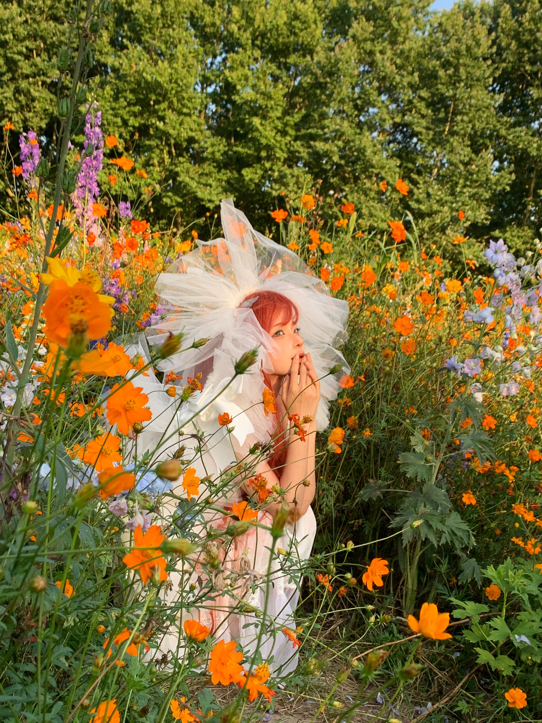 动漫博主 蠢沫沫 - 花丛婚纱/(67P)