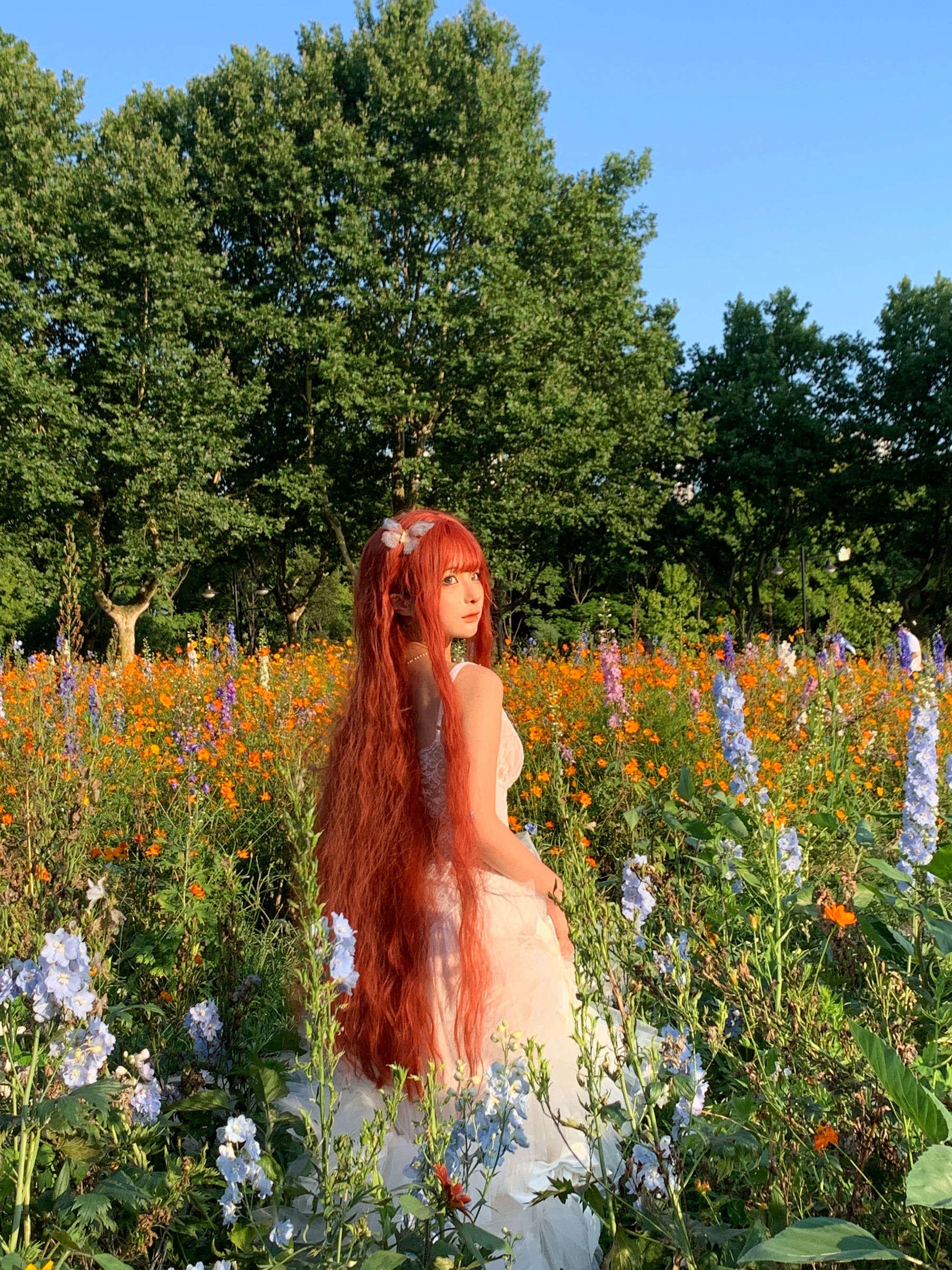 动漫博主 蠢沫沫 - 花丛婚纱/(67P)