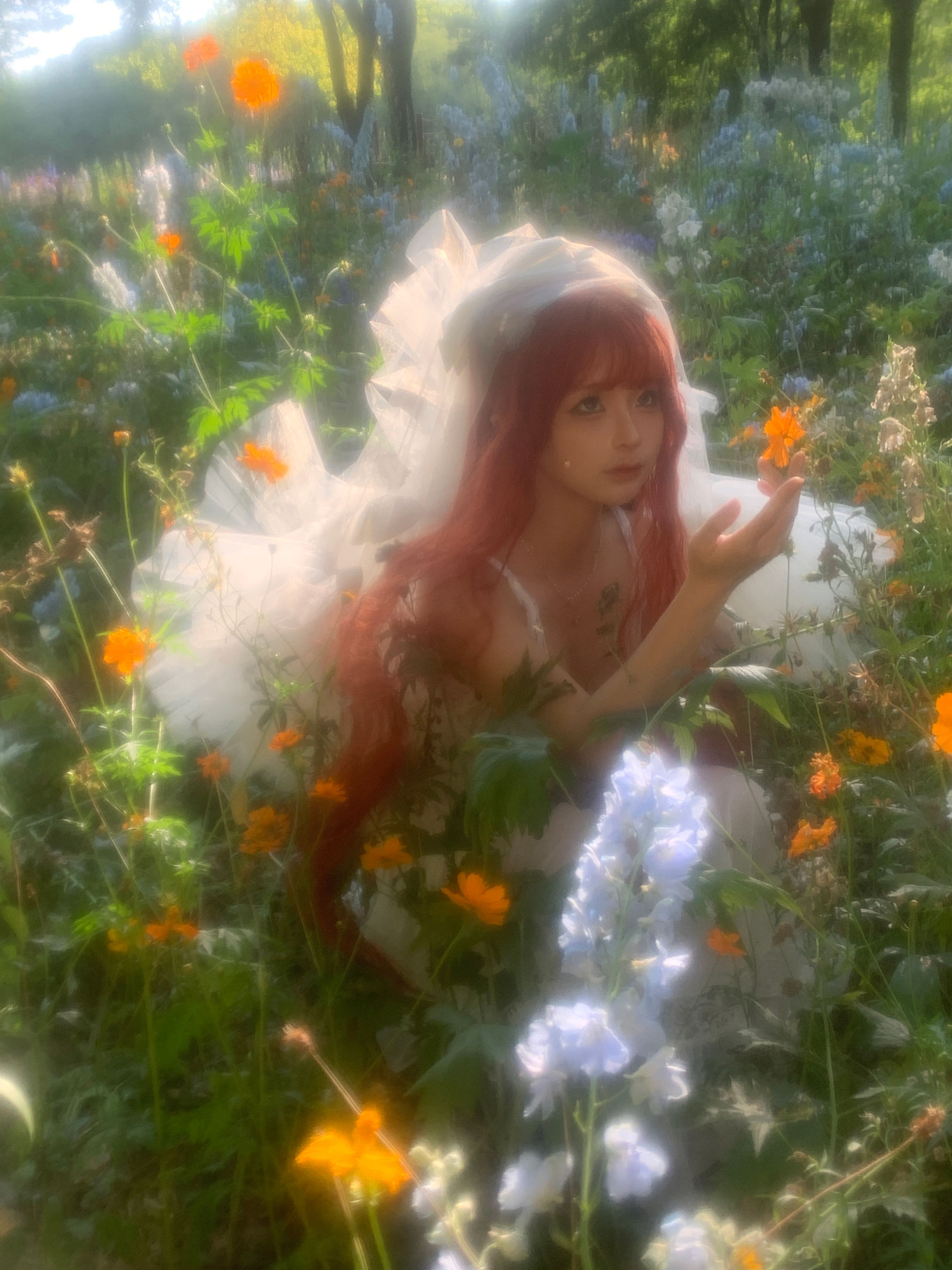 动漫博主 蠢沫沫 - 花丛婚纱/(67P)