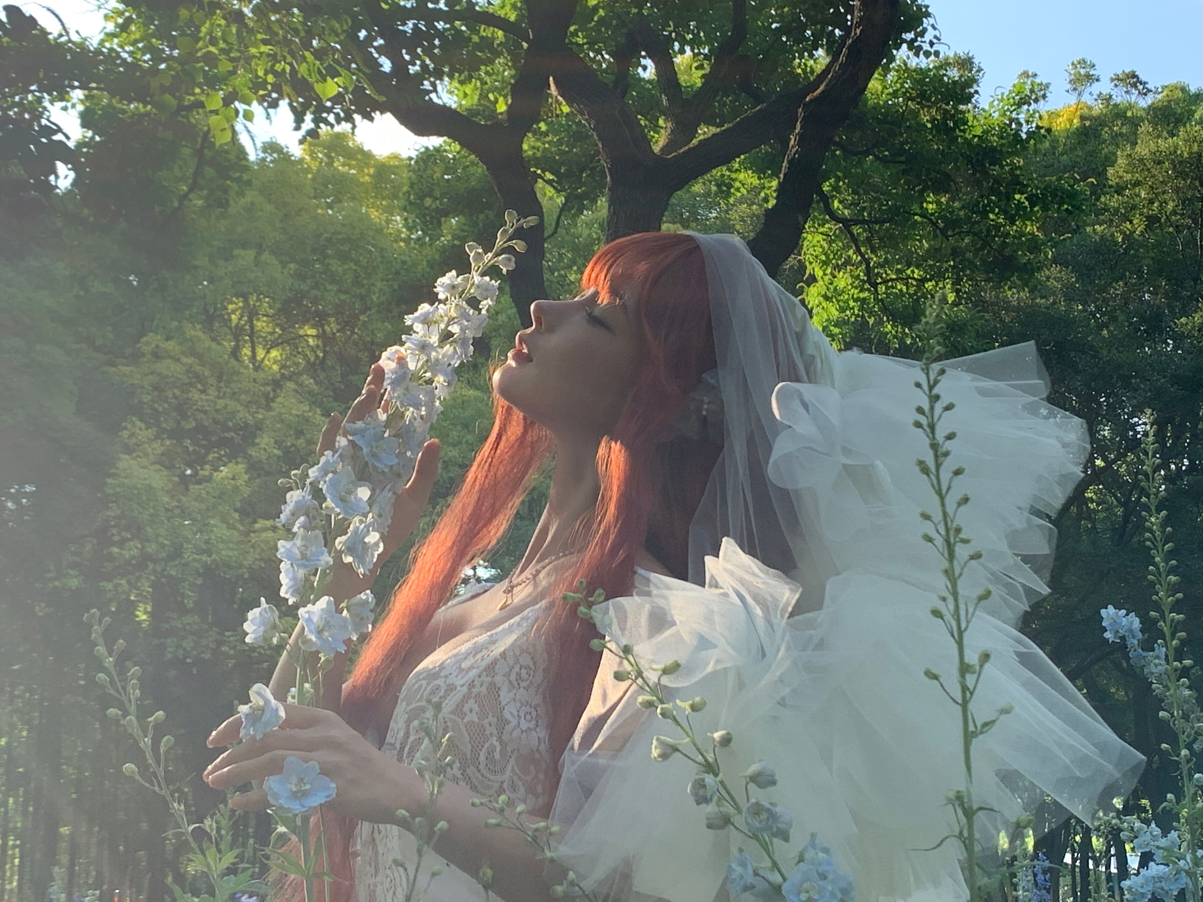 动漫博主 蠢沫沫 - 花丛婚纱/(67P)