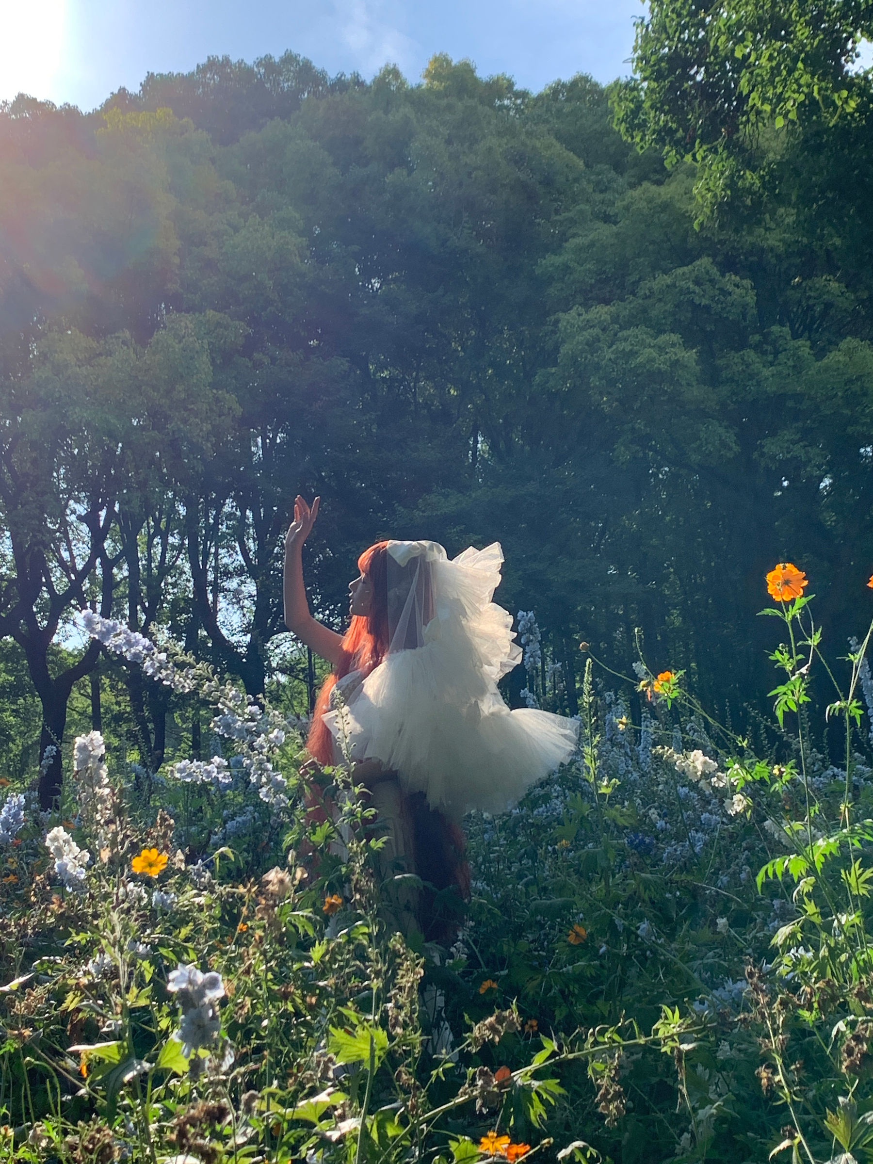 动漫博主 蠢沫沫 - 花丛婚纱/(67P)