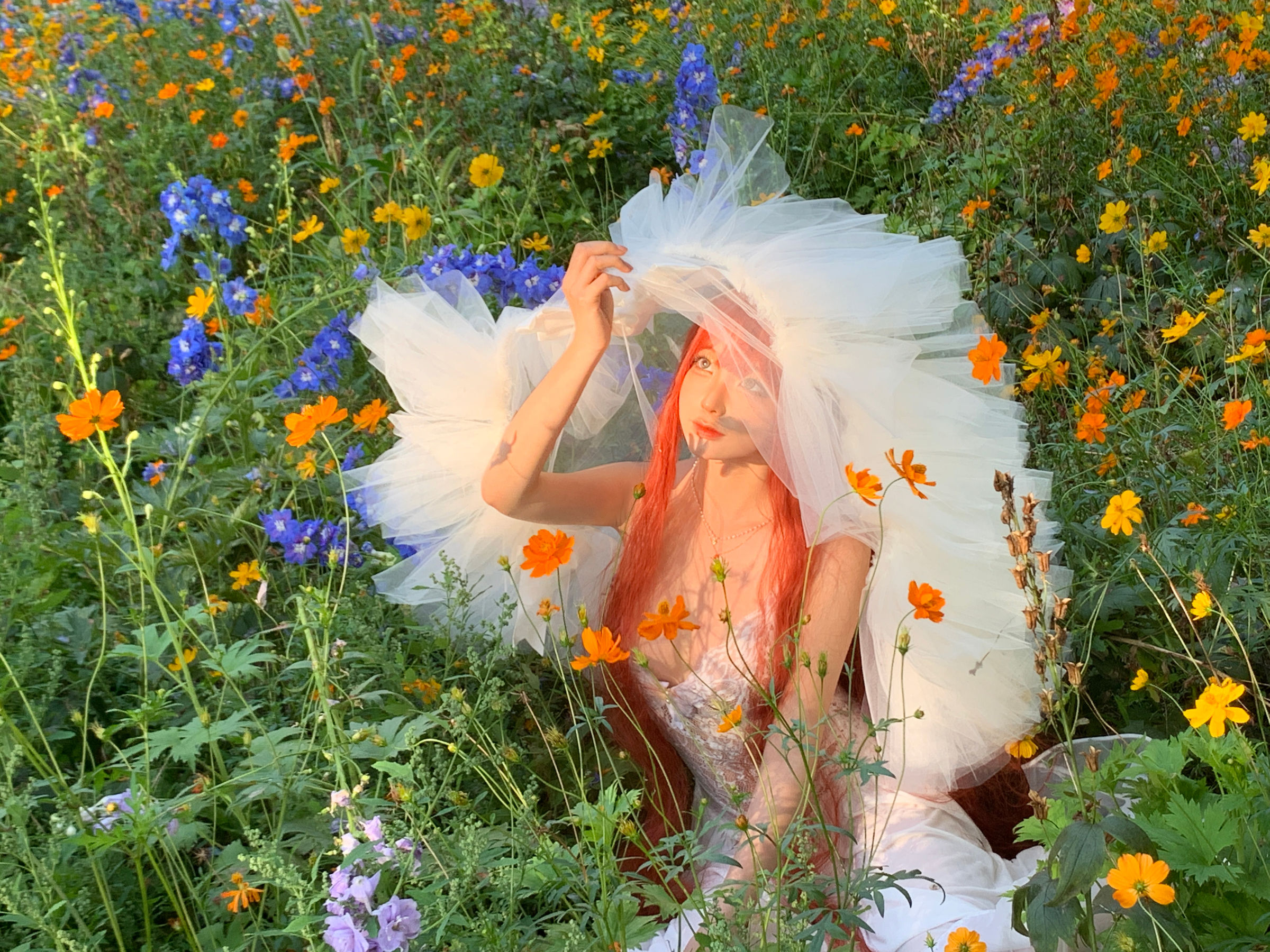 动漫博主 蠢沫沫 - 花丛婚纱/(67P)