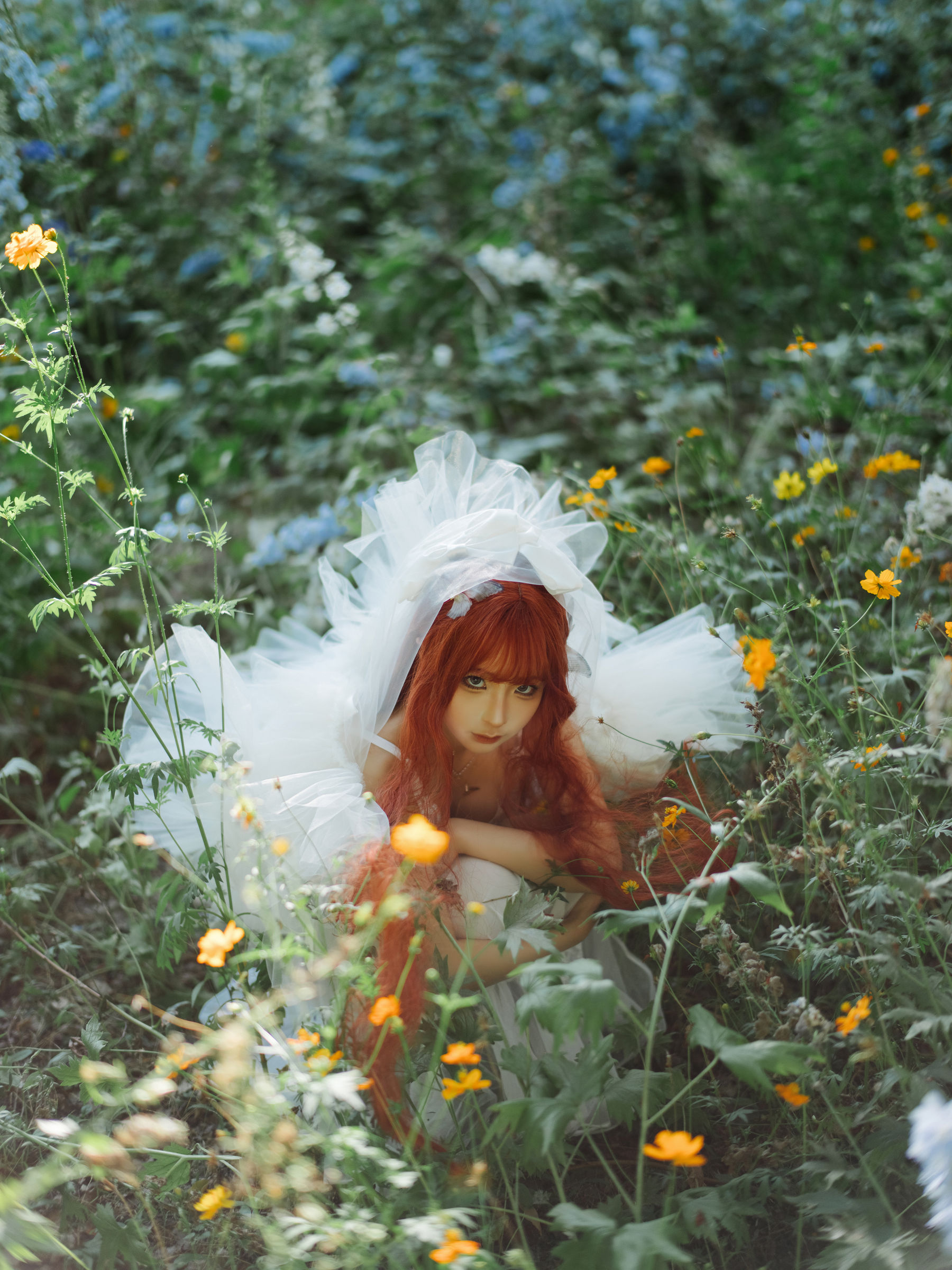 动漫博主 蠢沫沫 - 花丛婚纱/(67P)