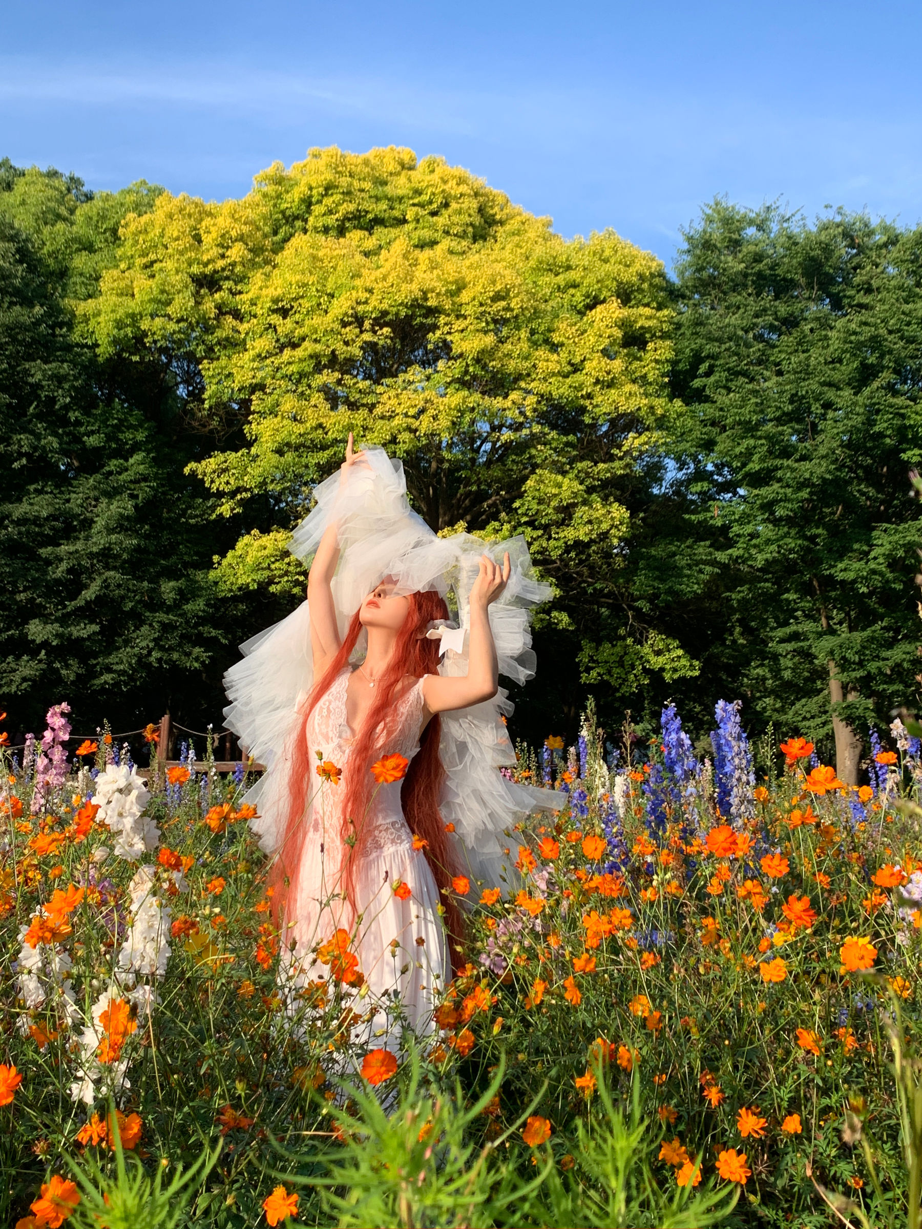 动漫博主 蠢沫沫 - 花丛婚纱/(67P)