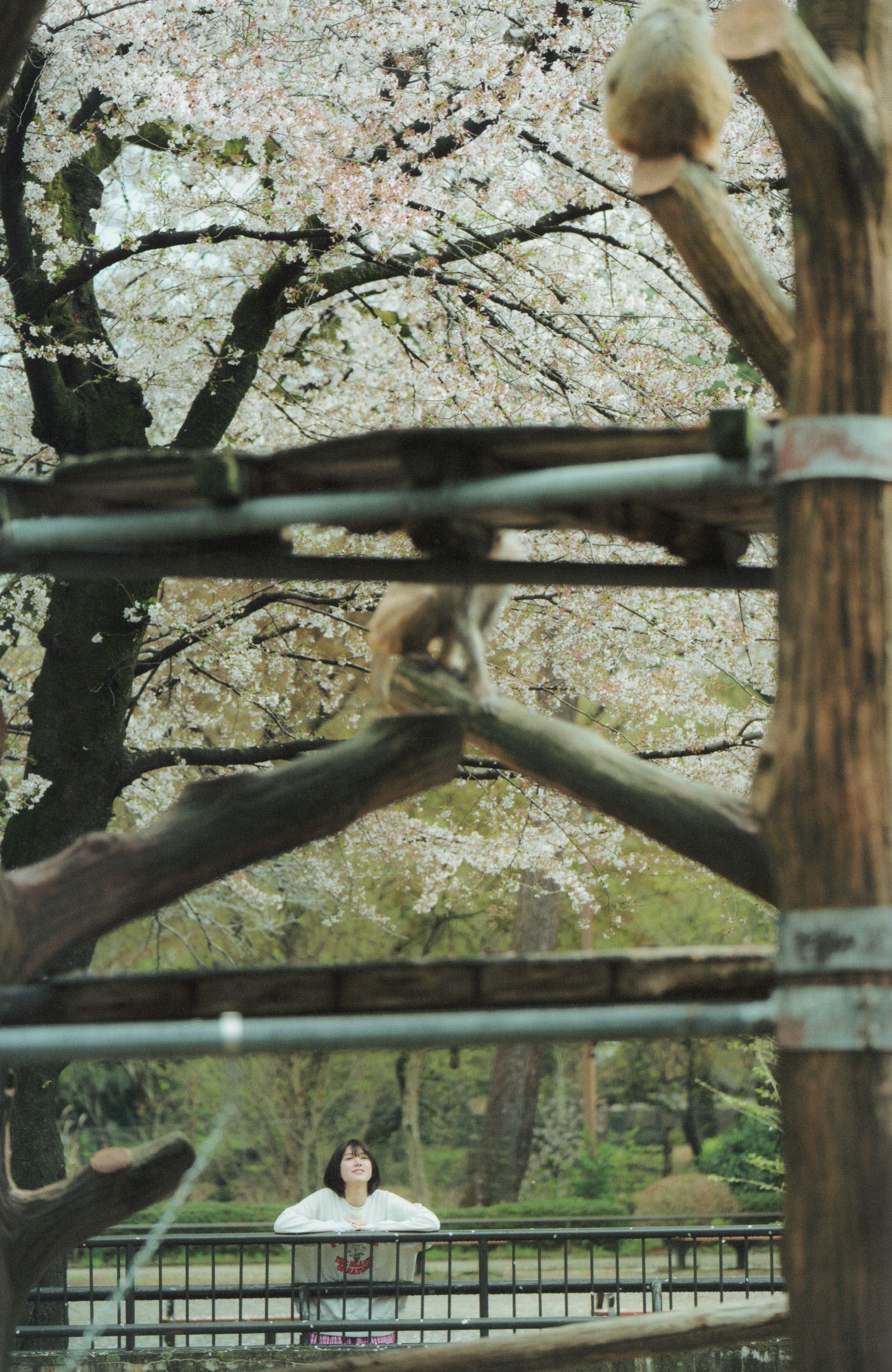 大西桃香 - 桃の眺め方/(119P)