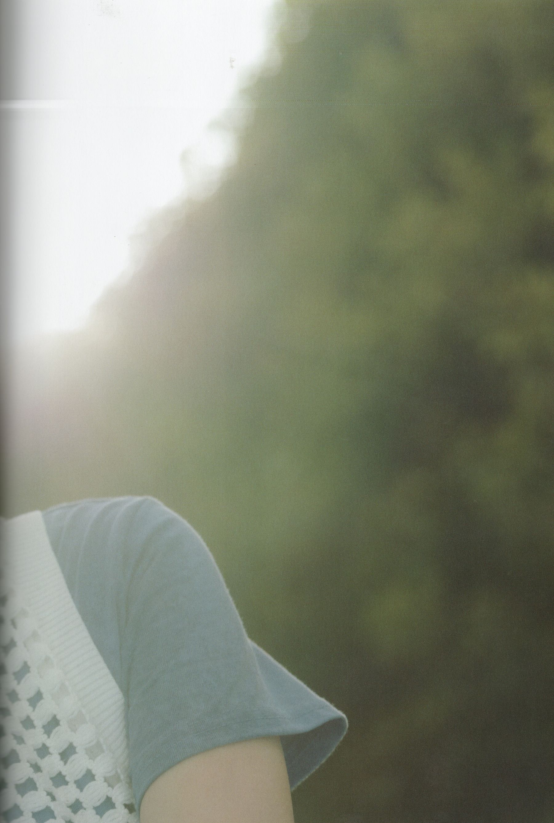 大西桃香 - 桃の眺め方/(119P)