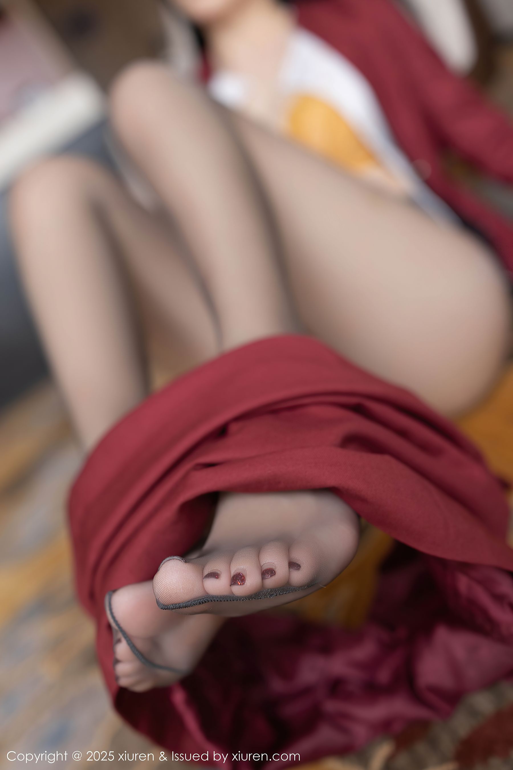 [秀人XiuRen] 2025.05.27 No.10333 安然anran/(80P)