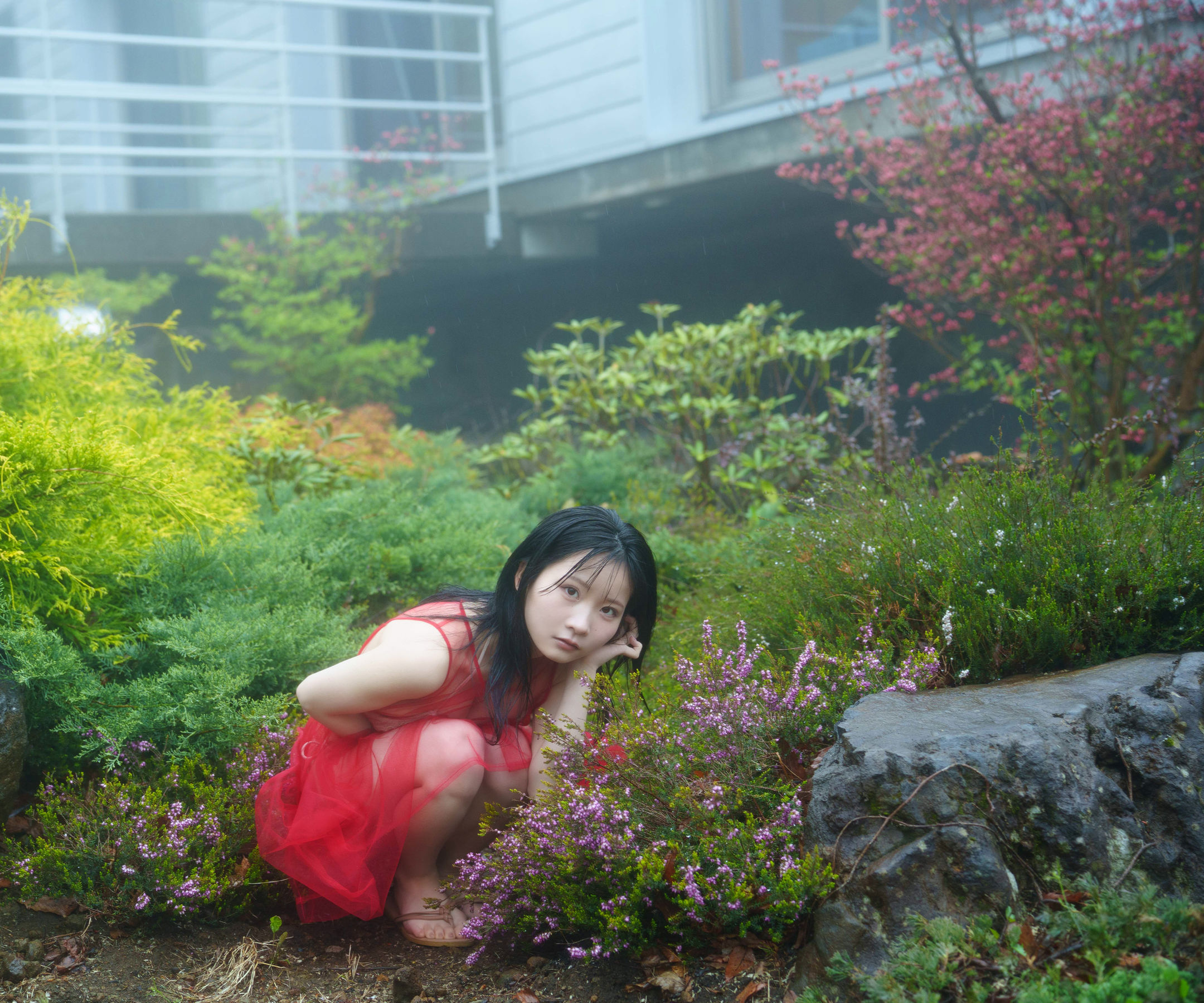 塩見ももこ - きっと明日は/(56P)