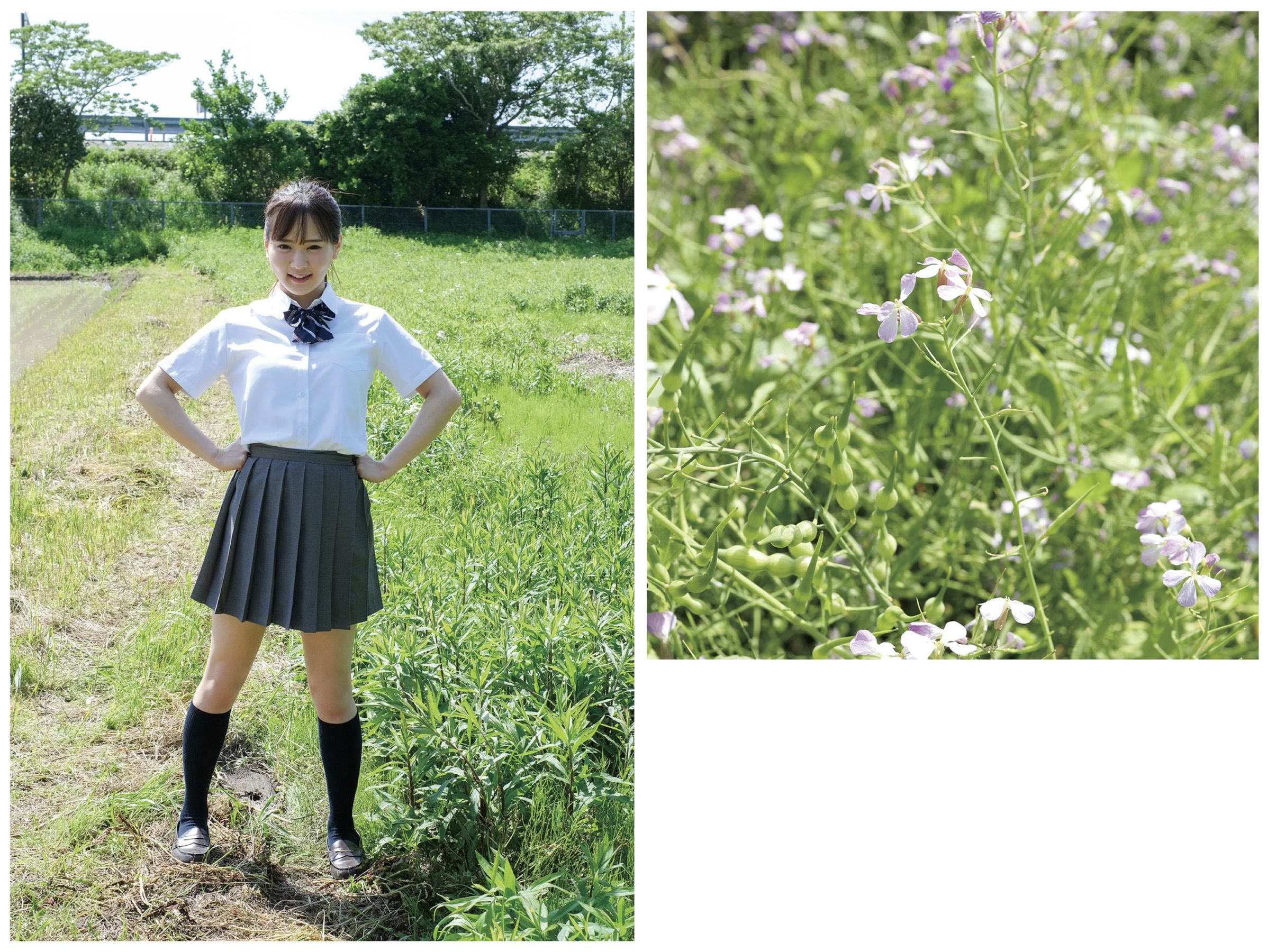 広瀬なるみ - 風に包まれて/(85P)