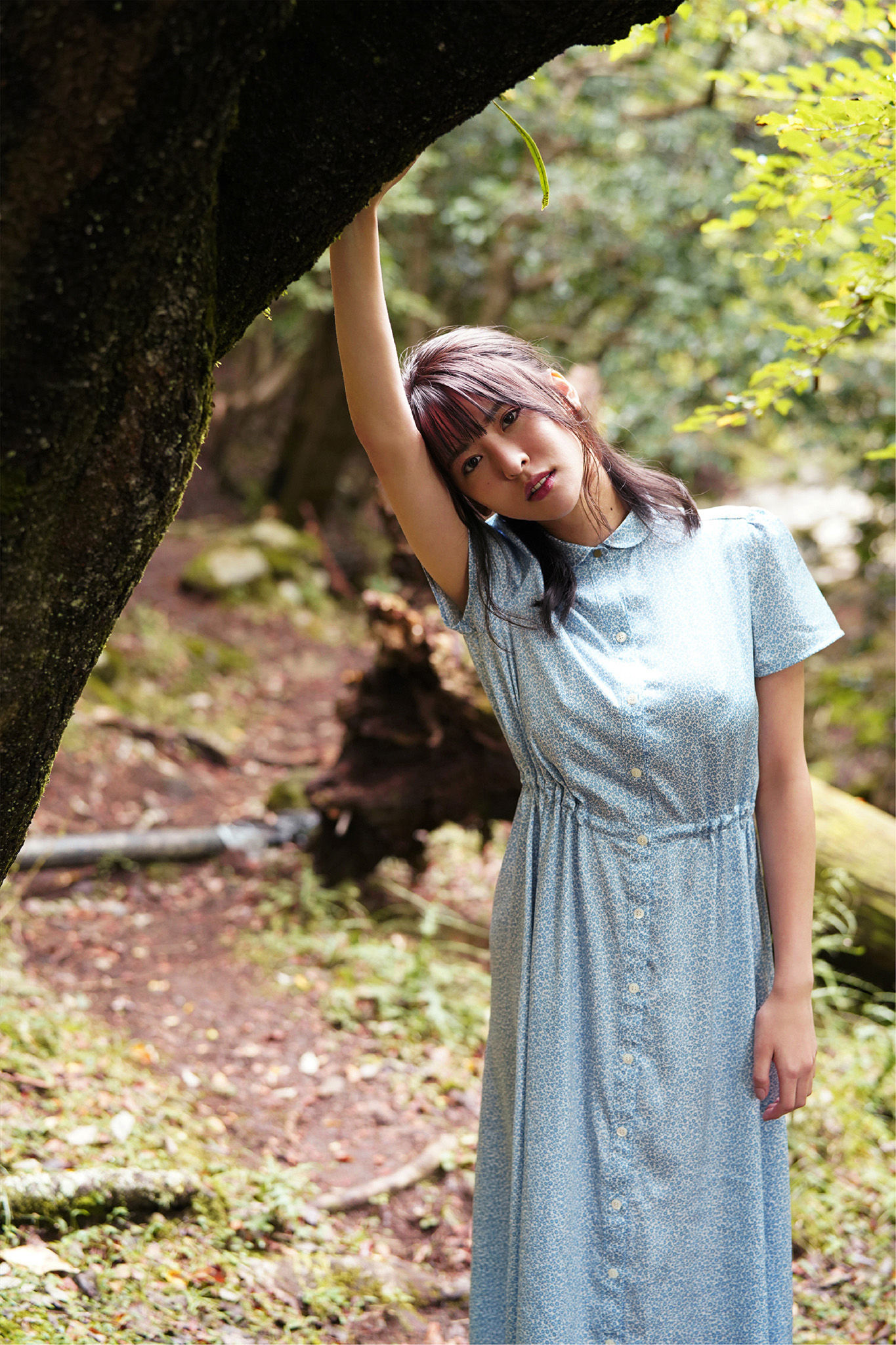 奈月セナ - たまゆらA/(69P)