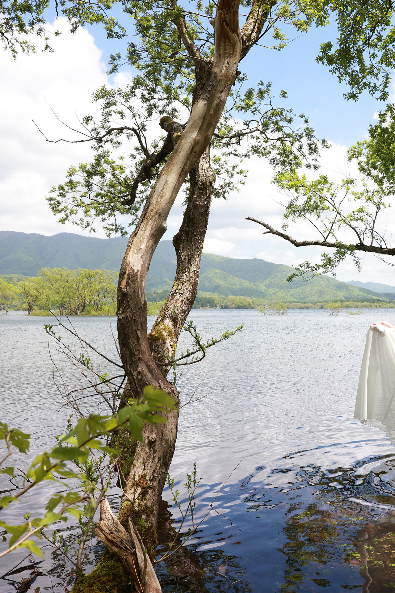 塩地美澄 - Nocturne vol.2/(177P)