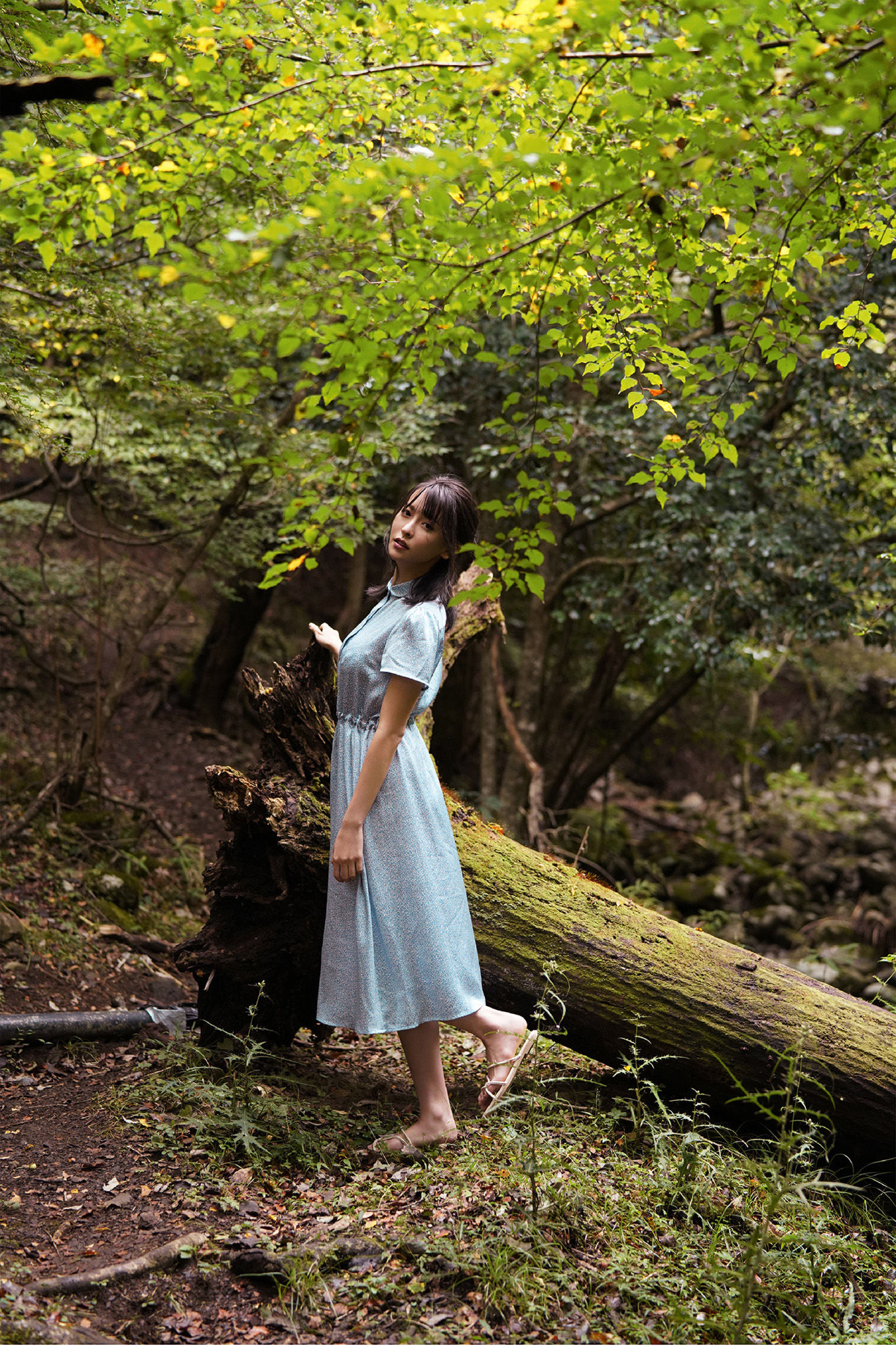 奈月セナ - たまゆらA/(69P)