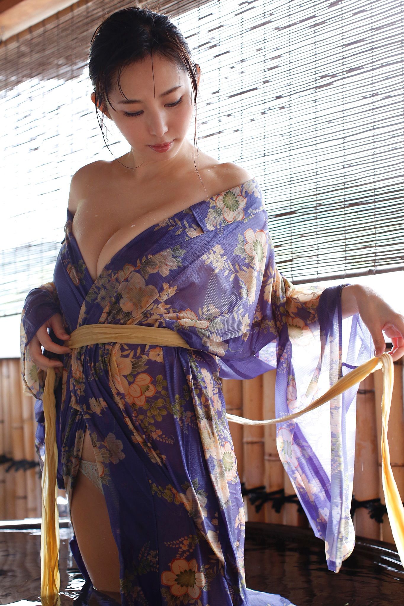 塩地美澄 - 日本一SEXYな美女アナと温泉旅/(88P)