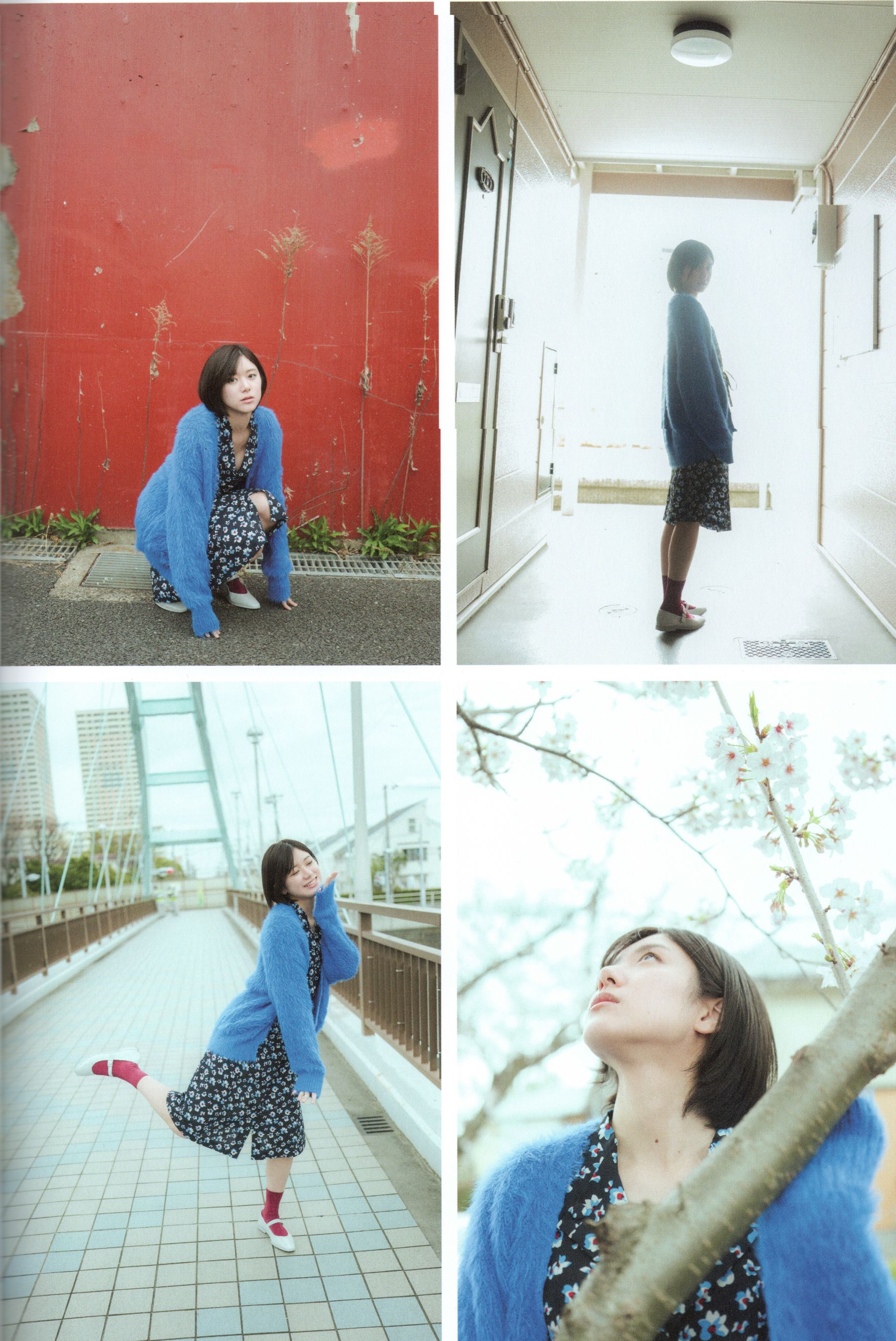 大西桃香 - 桃の眺め方/(119P)