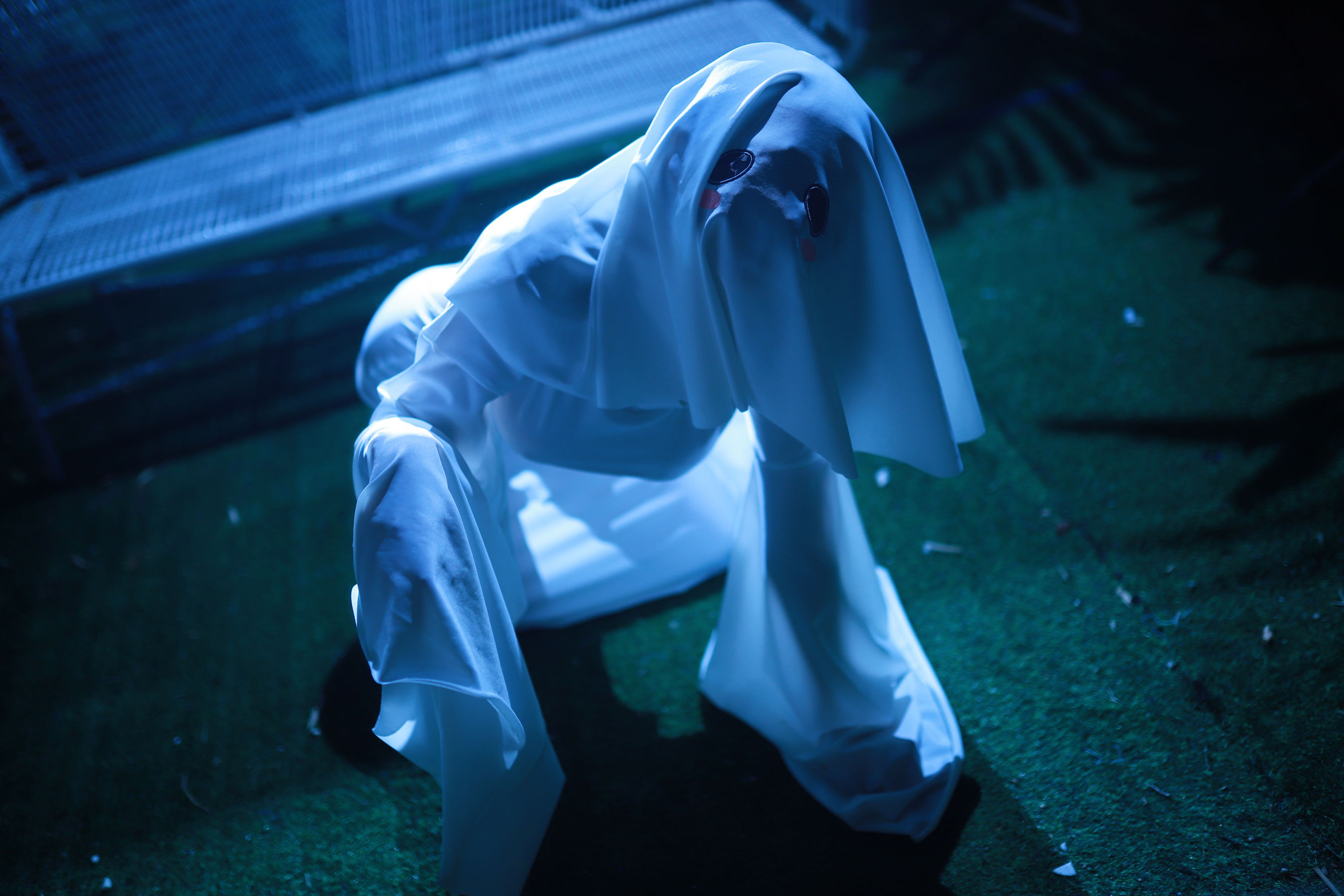 上杉绘梨落 - 幽灵娘/(37P)