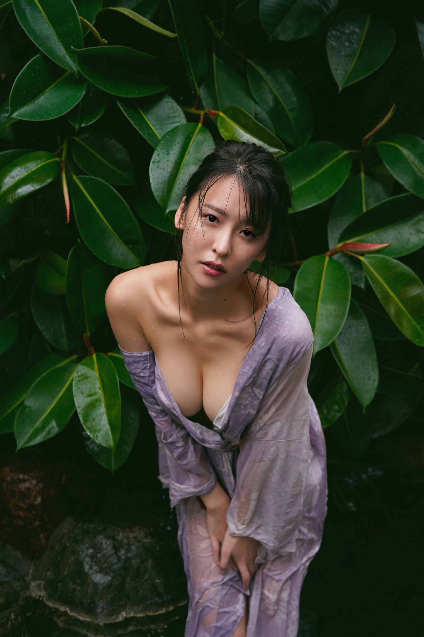 奈月セナ - たまゆら 花鳥風月/(110P)