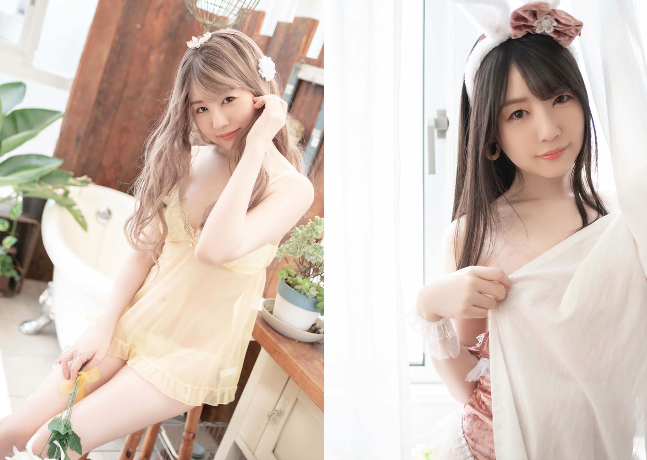 つぼみ - Count Sheep/(41P)